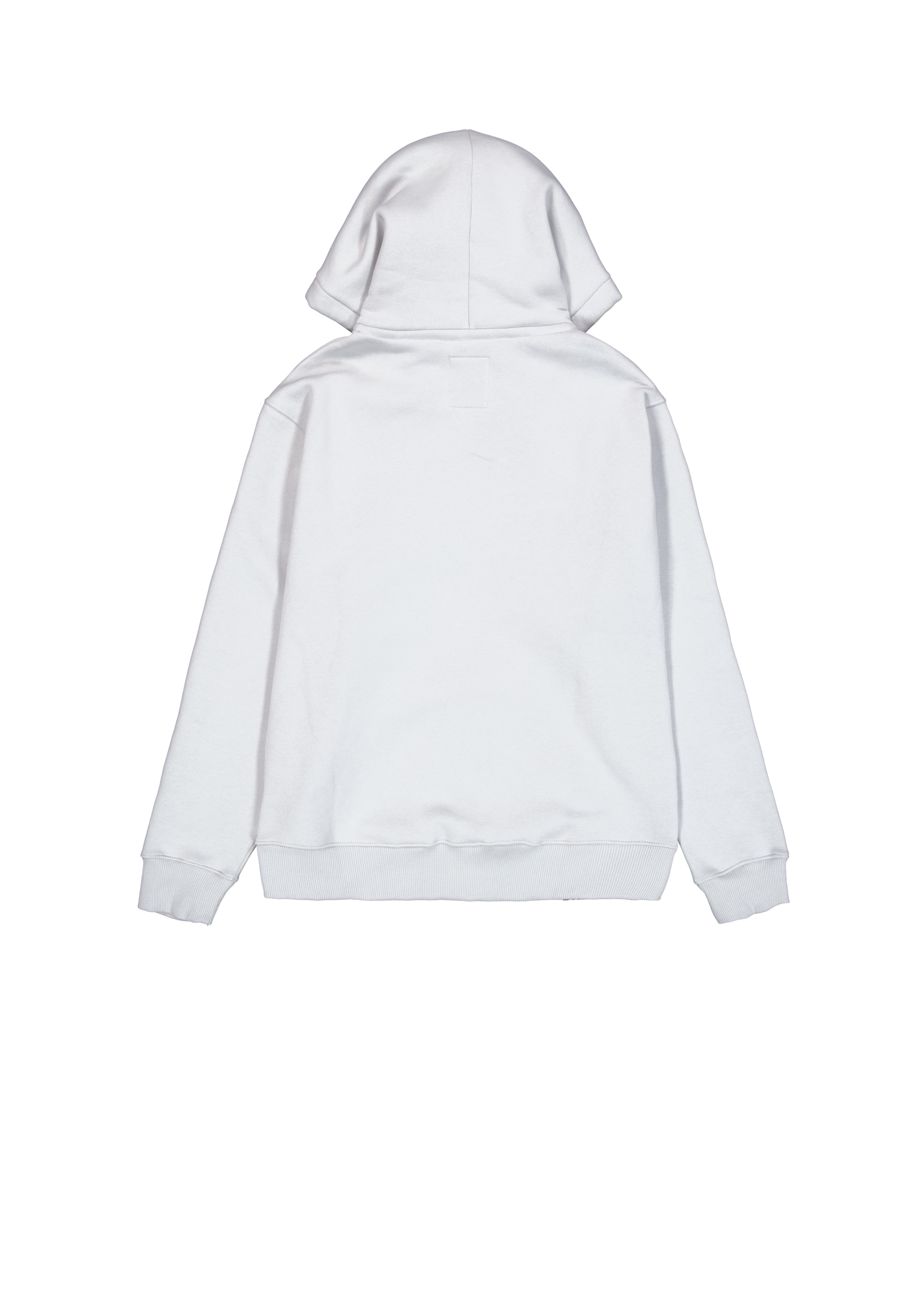 Alpha Industries Hoodie »Basic Zip Hoodie PP Camo«