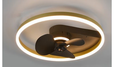 TRIO Leuchten LED Deckenleuchte »Borgholm«, mit Ventilator, Fernbedienung,... kaufen