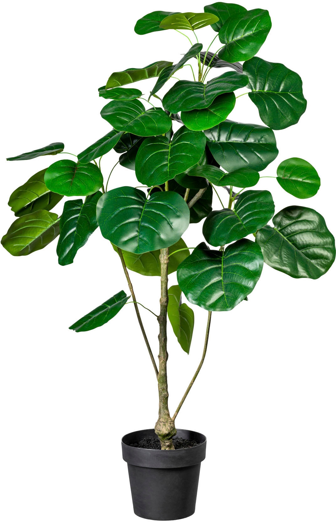 Creativ green Künstliche Zimmerpflanze »Anthurium«, | im Melamintopf kaufen BAUR