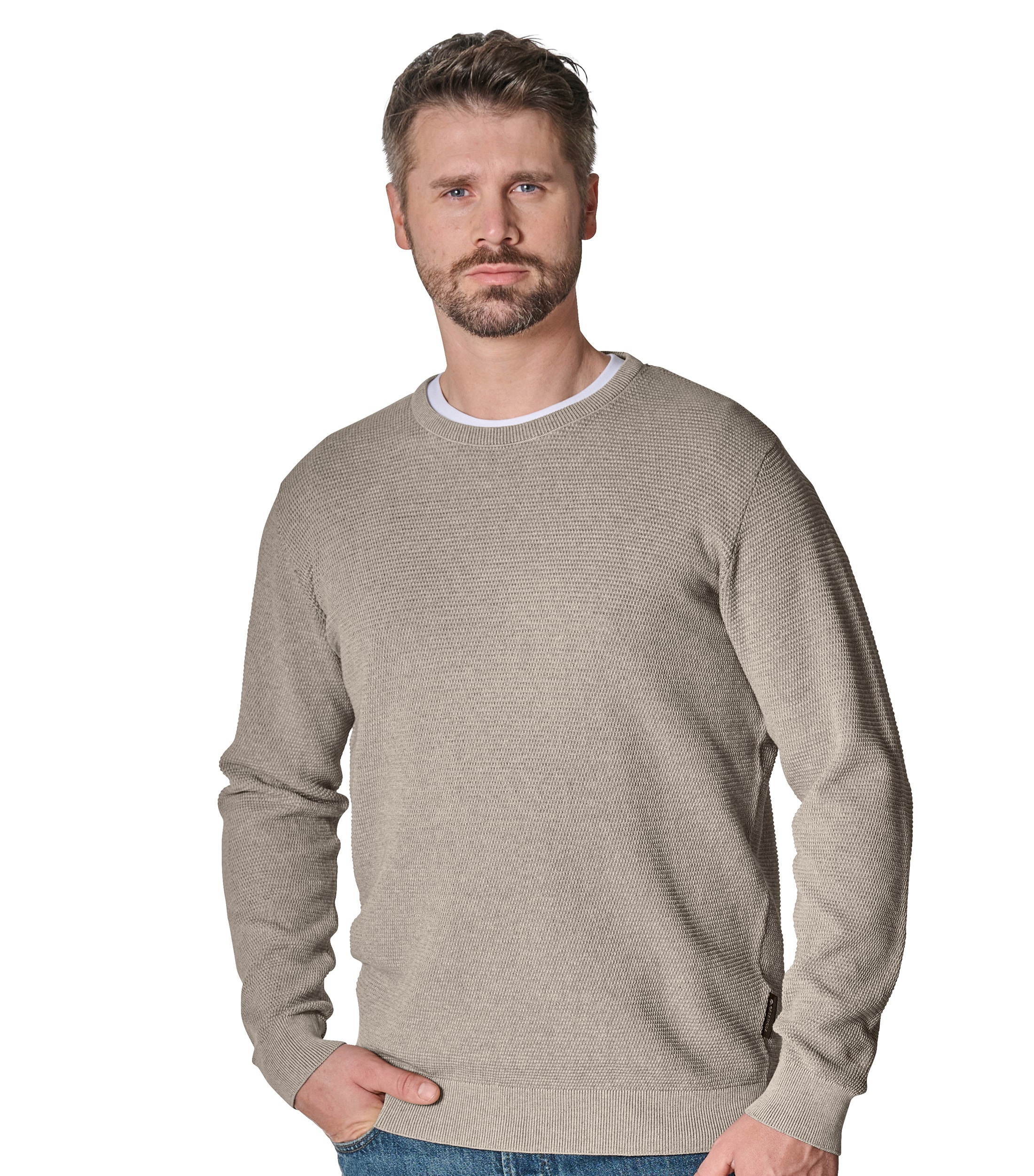 CASAMODA Strickpullover "CASAMODA Pullover uni" günstig online kaufen