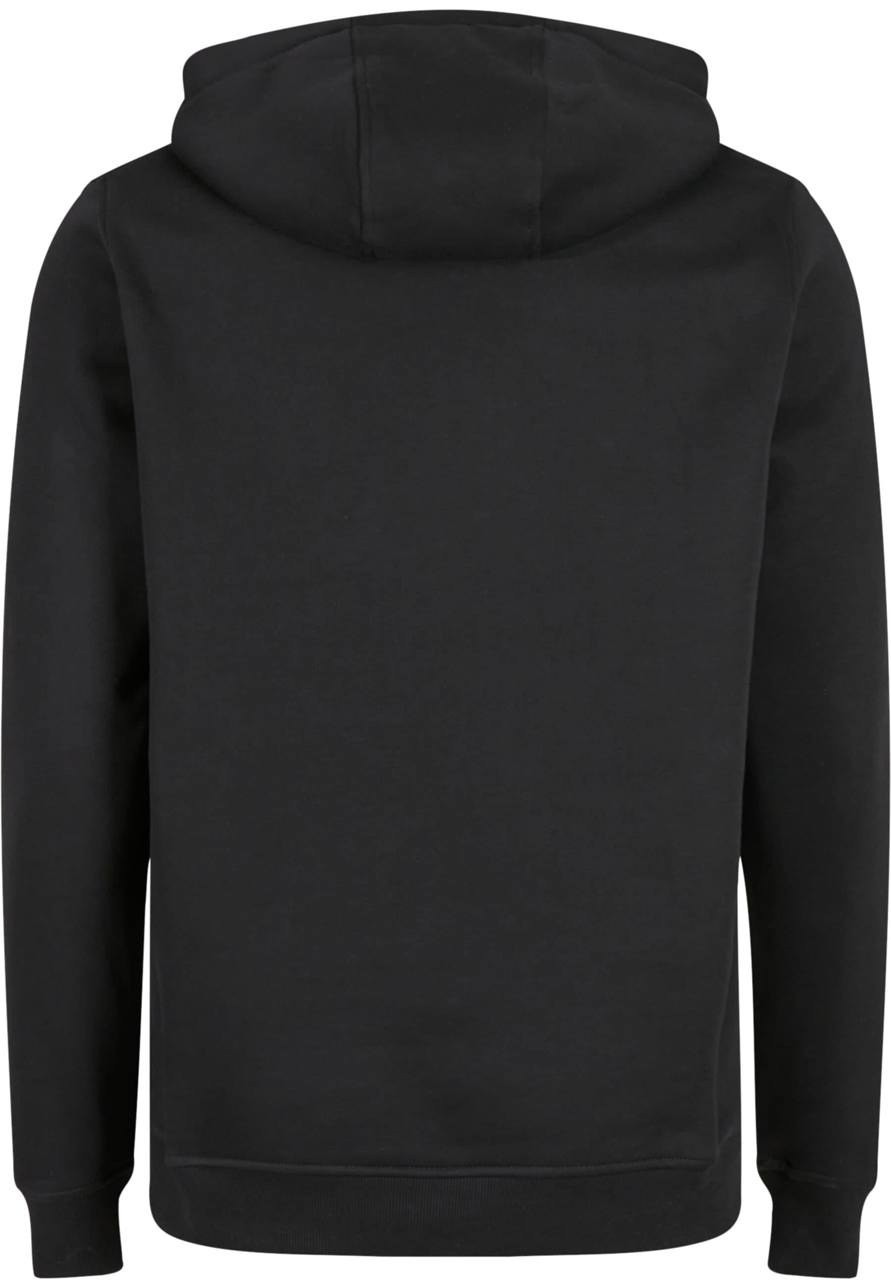 MisterTee Kapuzensweatshirt »MisterTee Detroit Tiger Head Hoody«, (1 tlg.)