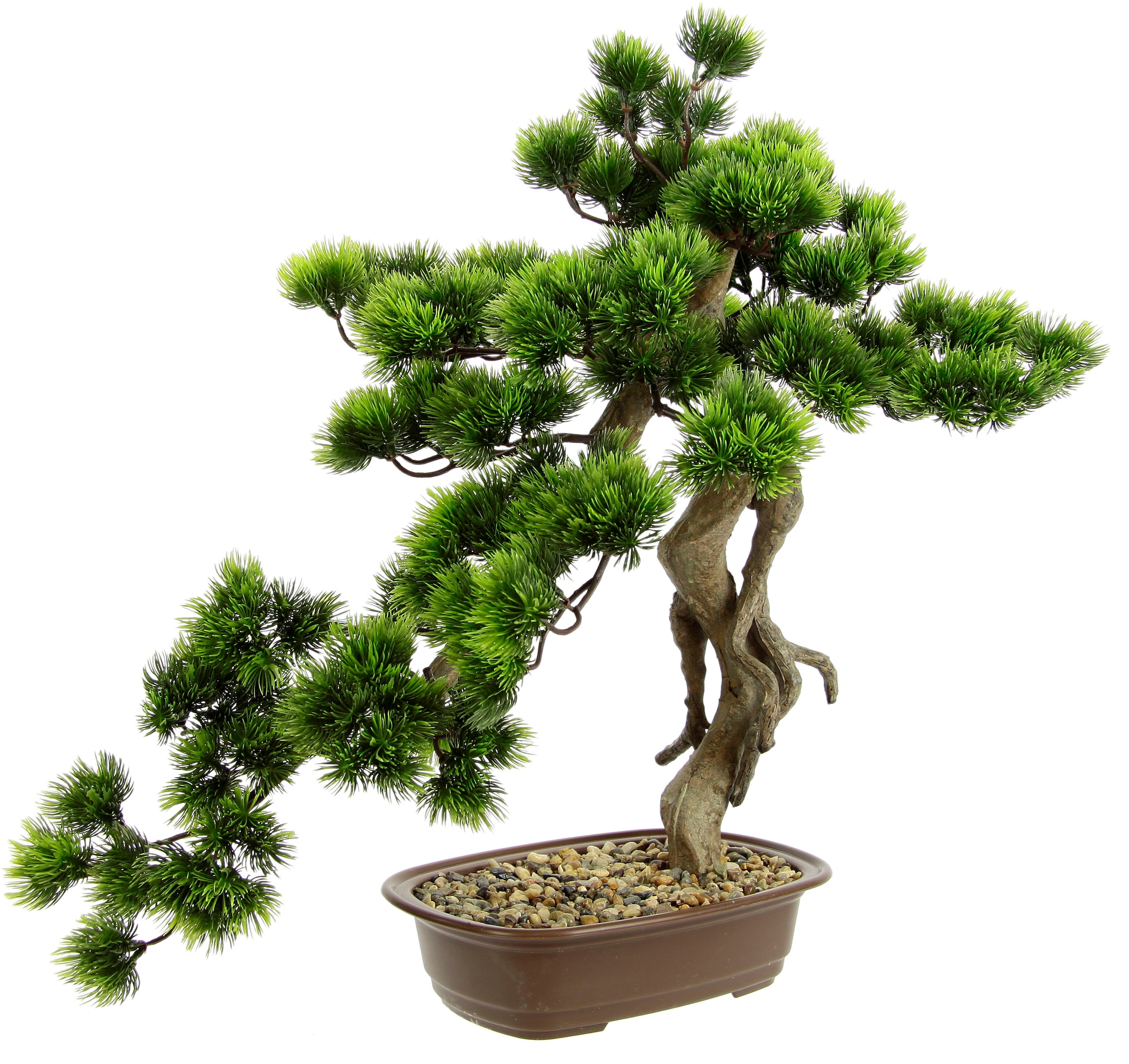 I.GE.A. Kunstpflanze "Bonsai Baum in Schale", Exotische Bäume Zen Garten günstig online kaufen