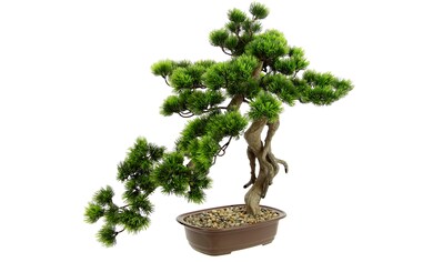 Kunstpflanze »Bonsai Baum in Schale«