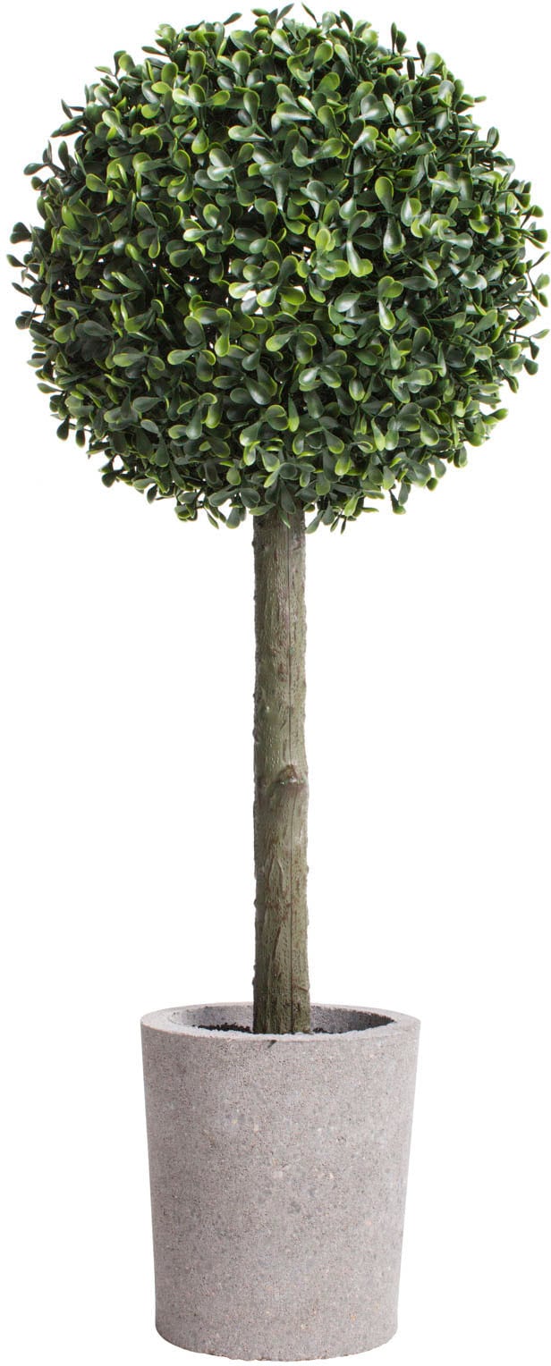 Botanic-Haus Kunstbaum »Buchskugelbaum«, (1 St.) kaufen