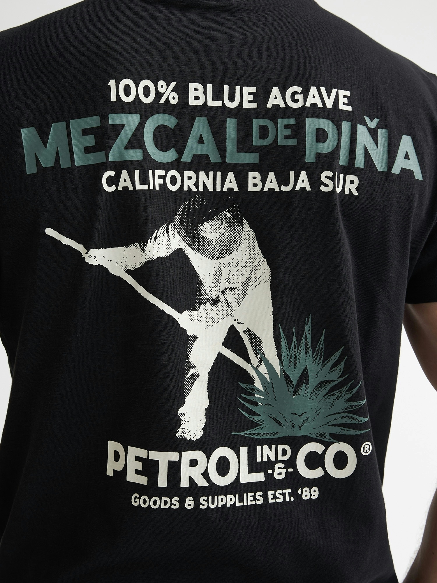 Petrol Industries T-Shirt »Men T-Shirt« mit Backprint