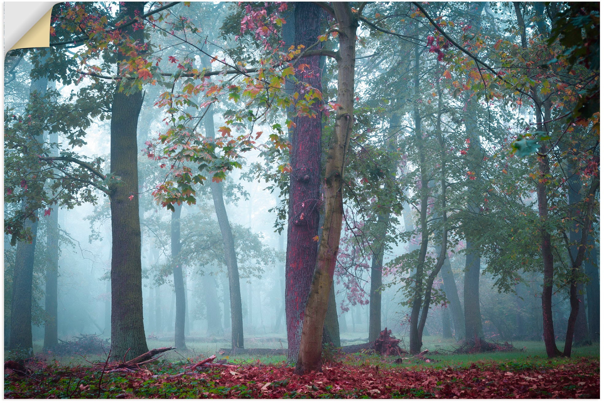 Artland Wandbild »Nebel im Wald«, Waldbilder, (1 St.), als Alubild,  Leinwandbild, Wandaufkleber oder Poster in versch. Größen bestellen | BAUR