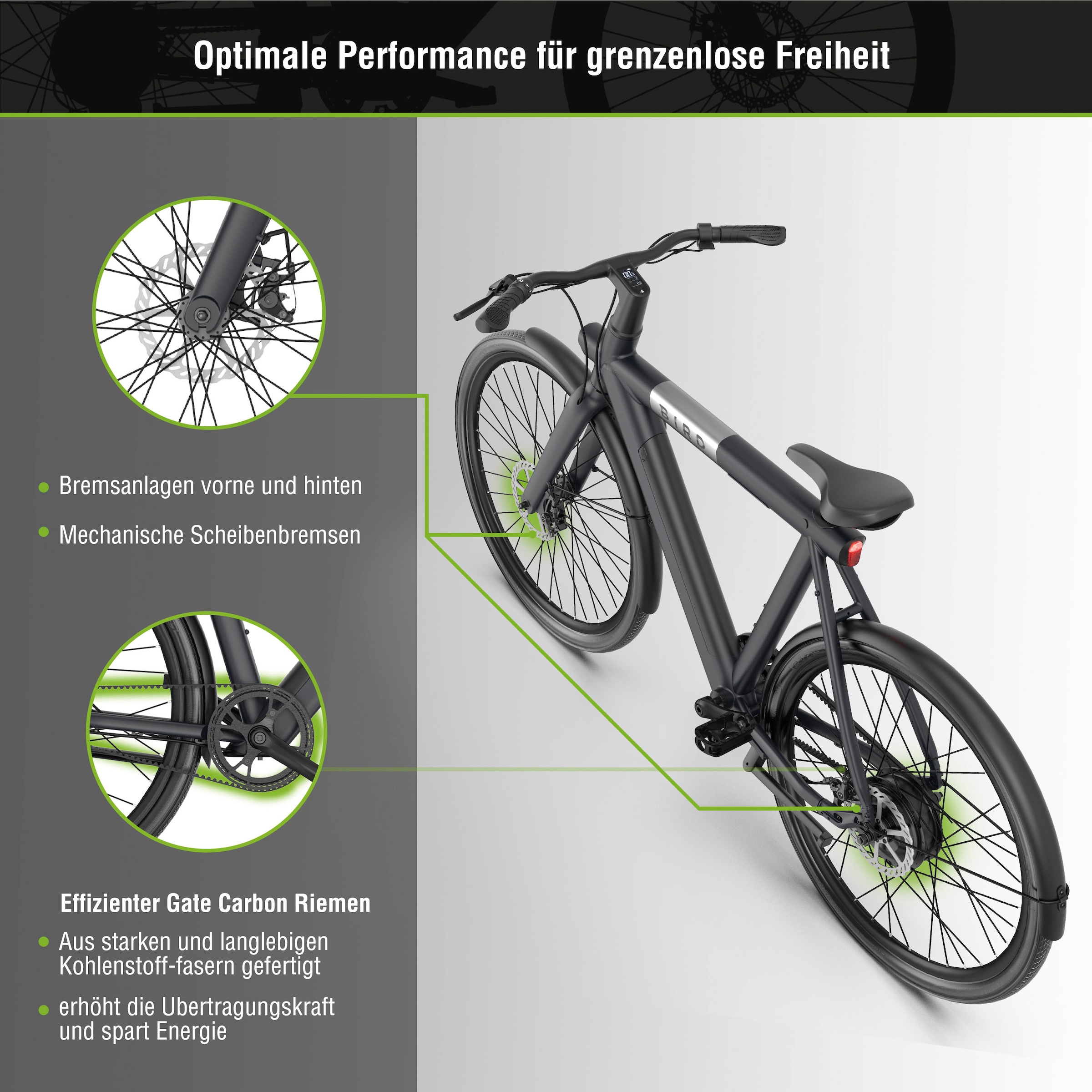 SachsenRad »C6R« 1 Gang ohne Schaltung Heckmotor 250 W