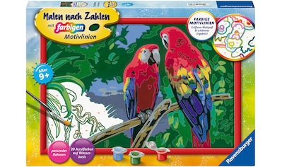 Malen nach Zahlen »Bunte Papageien«, Made in Europe, FSC® - schützt Wald - weltweit