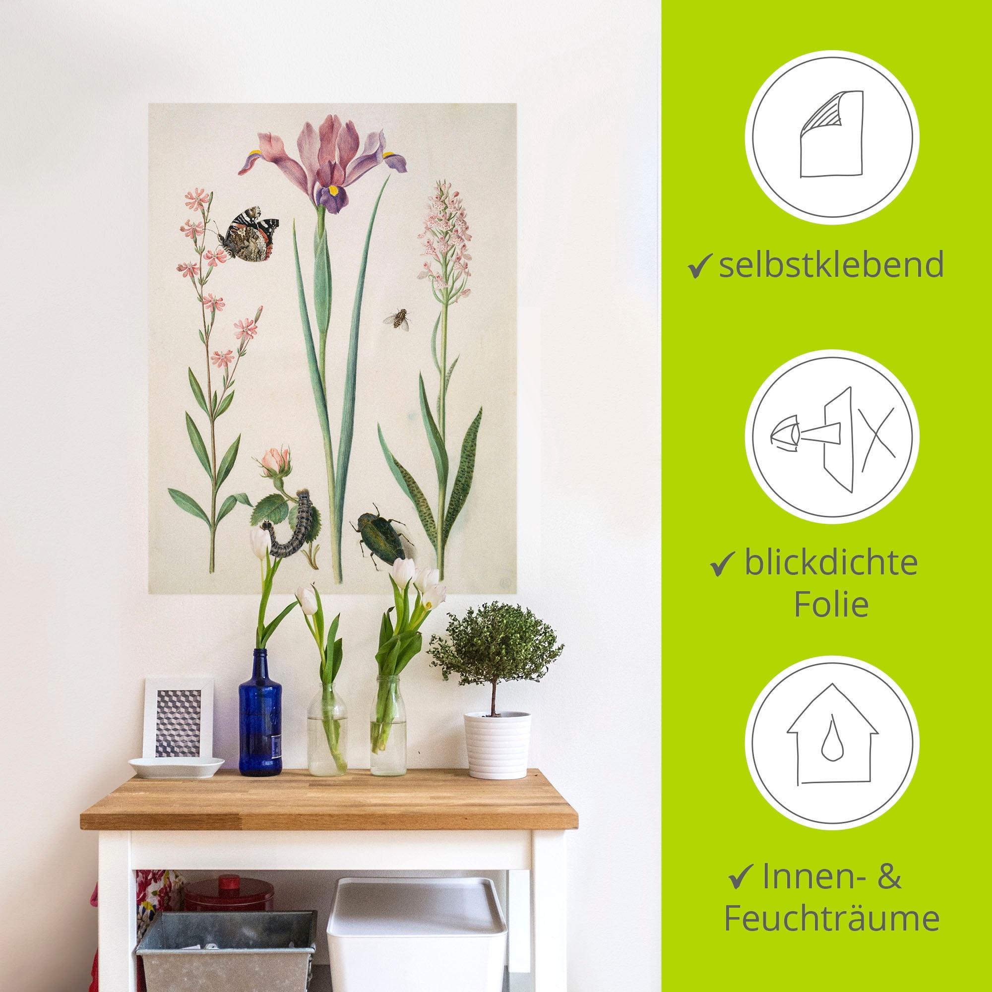 Artland Wandbild »Admiral, Rose Iris Knabenkraut.«, Pflanzen, (1 St.), als Poster, Wandaufkleber in verschied. Größen