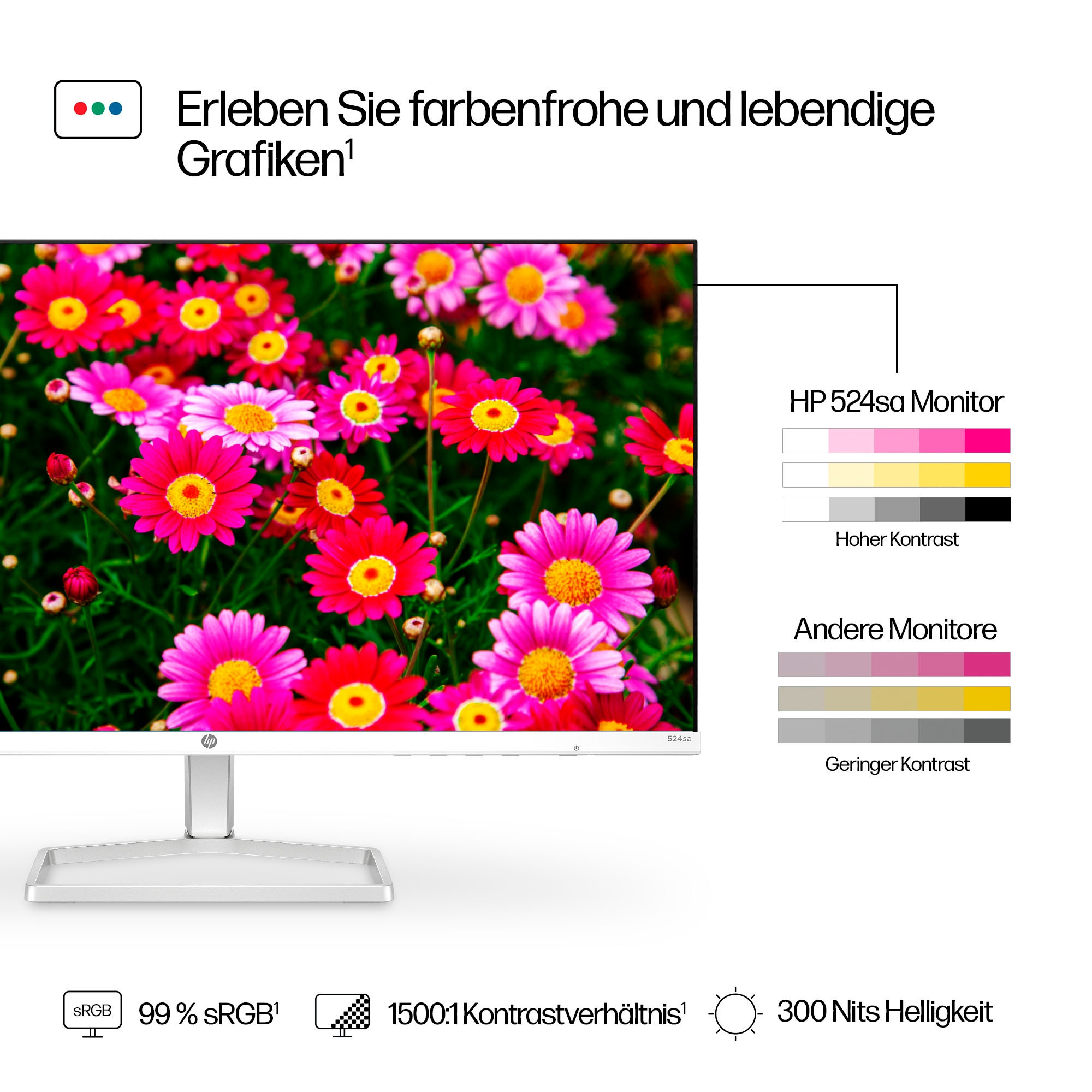 HP LED-Monitor »524sa (HSD-0174-K)«, 61 cm/24 Zoll, 1920 x 1080 px, Full HD, 5 ms Reaktionszeit, 100 Hz