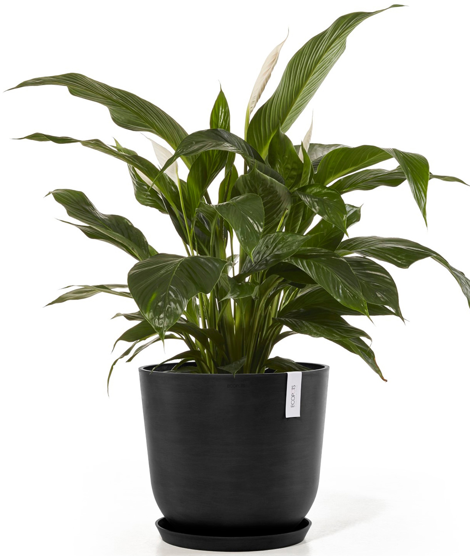 ECOPOTS Blumentopf »Oslo 45 + Wassersystem Dunkelgrau«, für innen und außen: frostsicher, bruchsicher und lichtbeständig