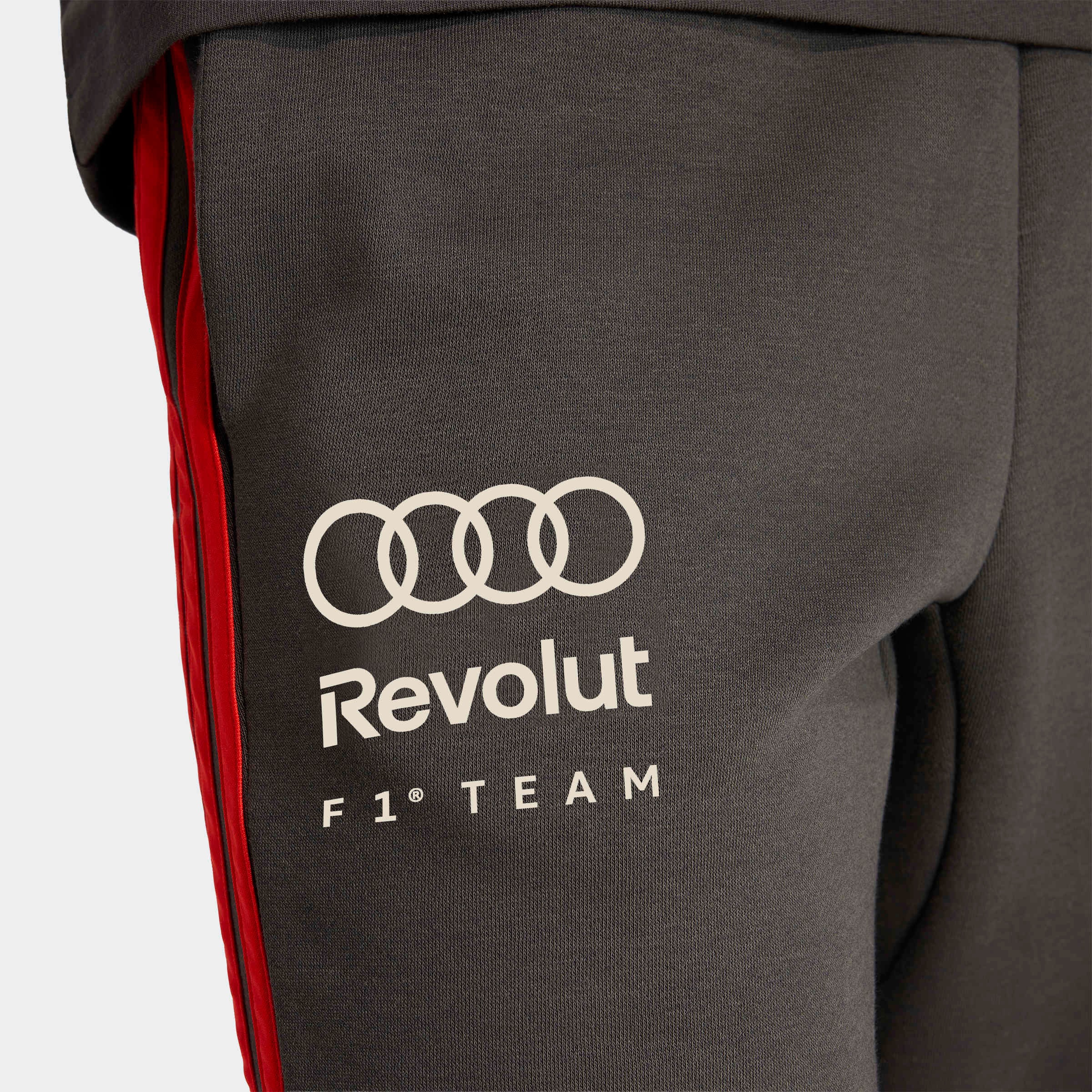 adidas Performance Sporthose »AUDI FORMULA ONE TEAM DNA«