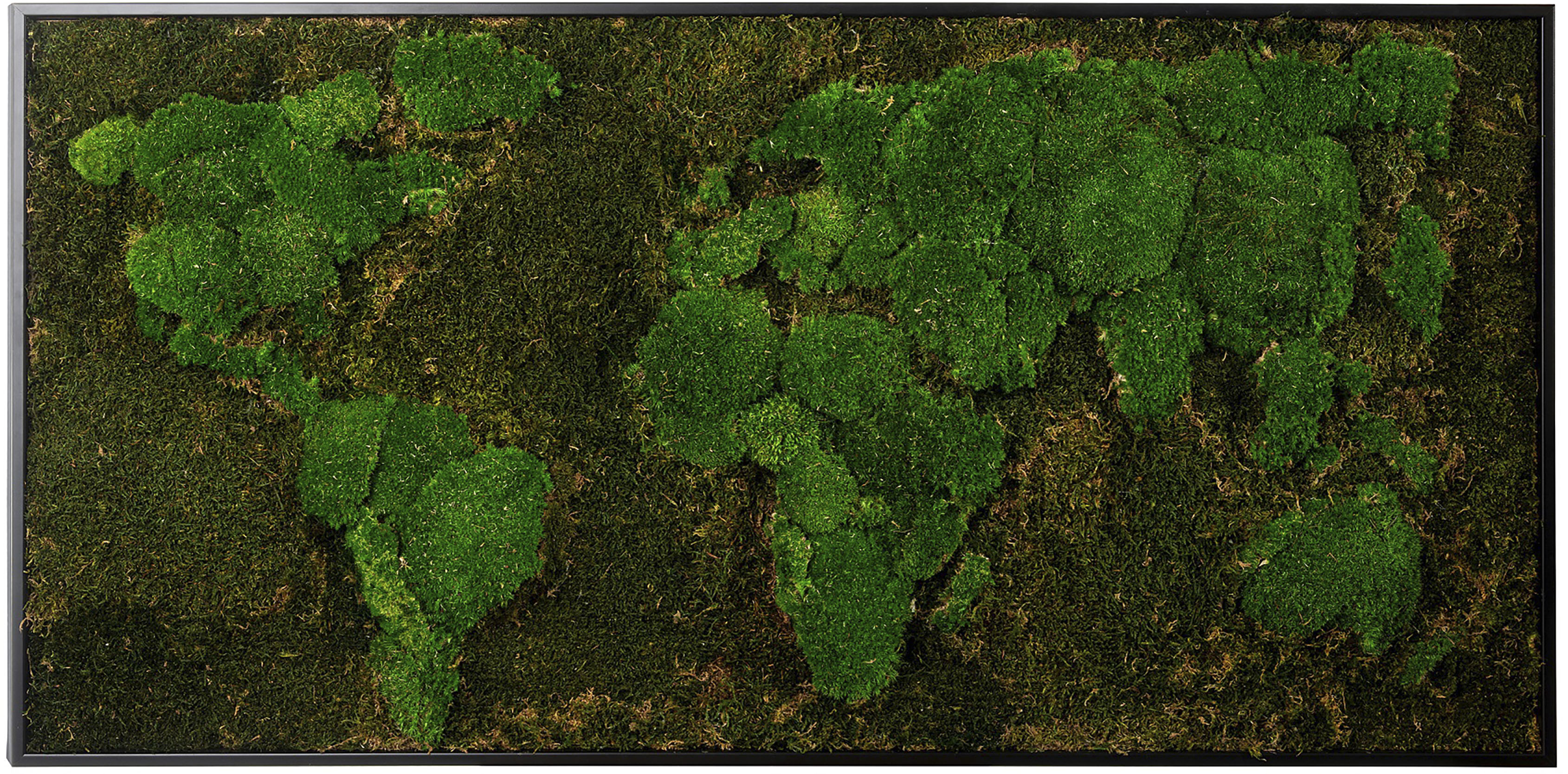 Thumbnail - Bönninghoff Bild mit Rahmen "Moos" 1 Stk. tlg. jedes Bild ein Unikat, BxH: 120x60 cm