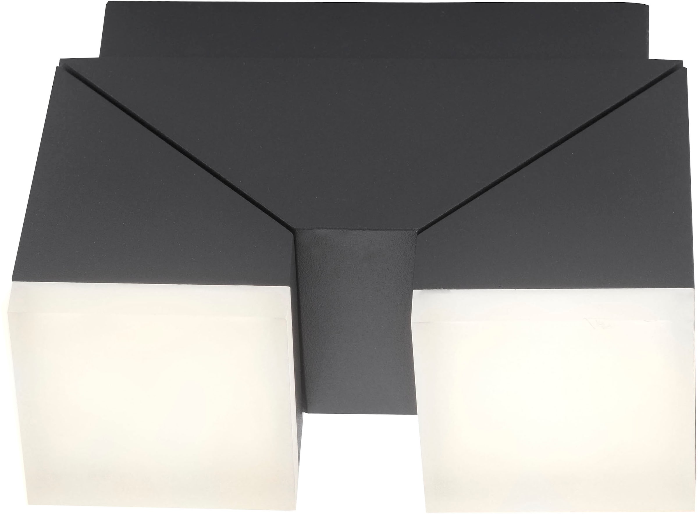 Paul Neuhaus LED Außen-Wandleuchte »Ryan«, 2 flammig, Leuchtmittel LED-Board | LED fest integriert, Schutzart IP, Für Außen- und Innenbereich