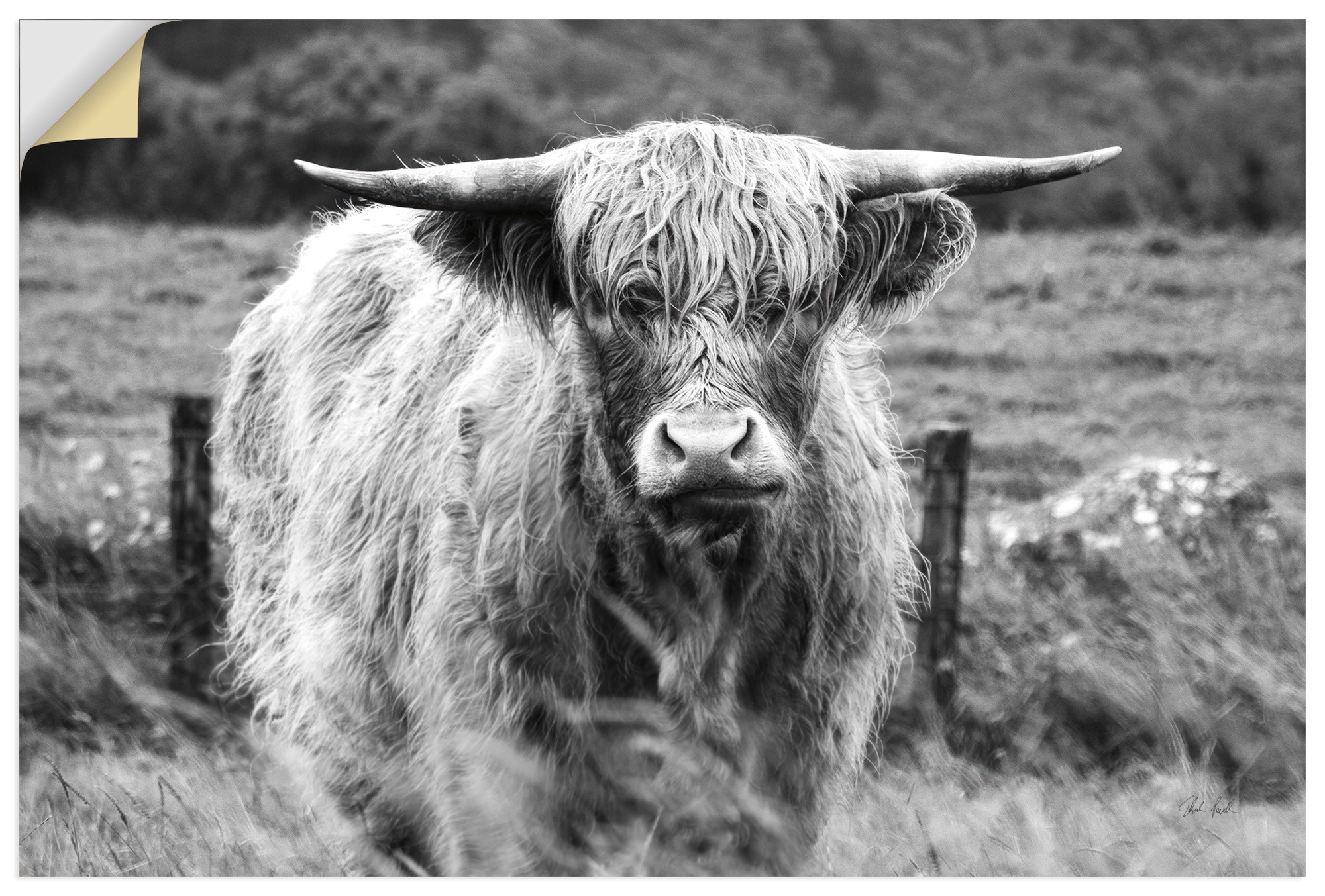 ARTLAND Happy Highland Wall Decal Black 30x20cm
