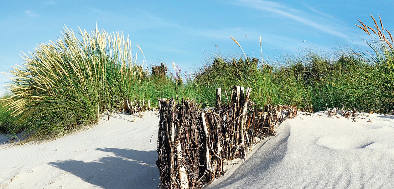 Express Küchen Küchenrückwand "Strand", (1 tlg.)