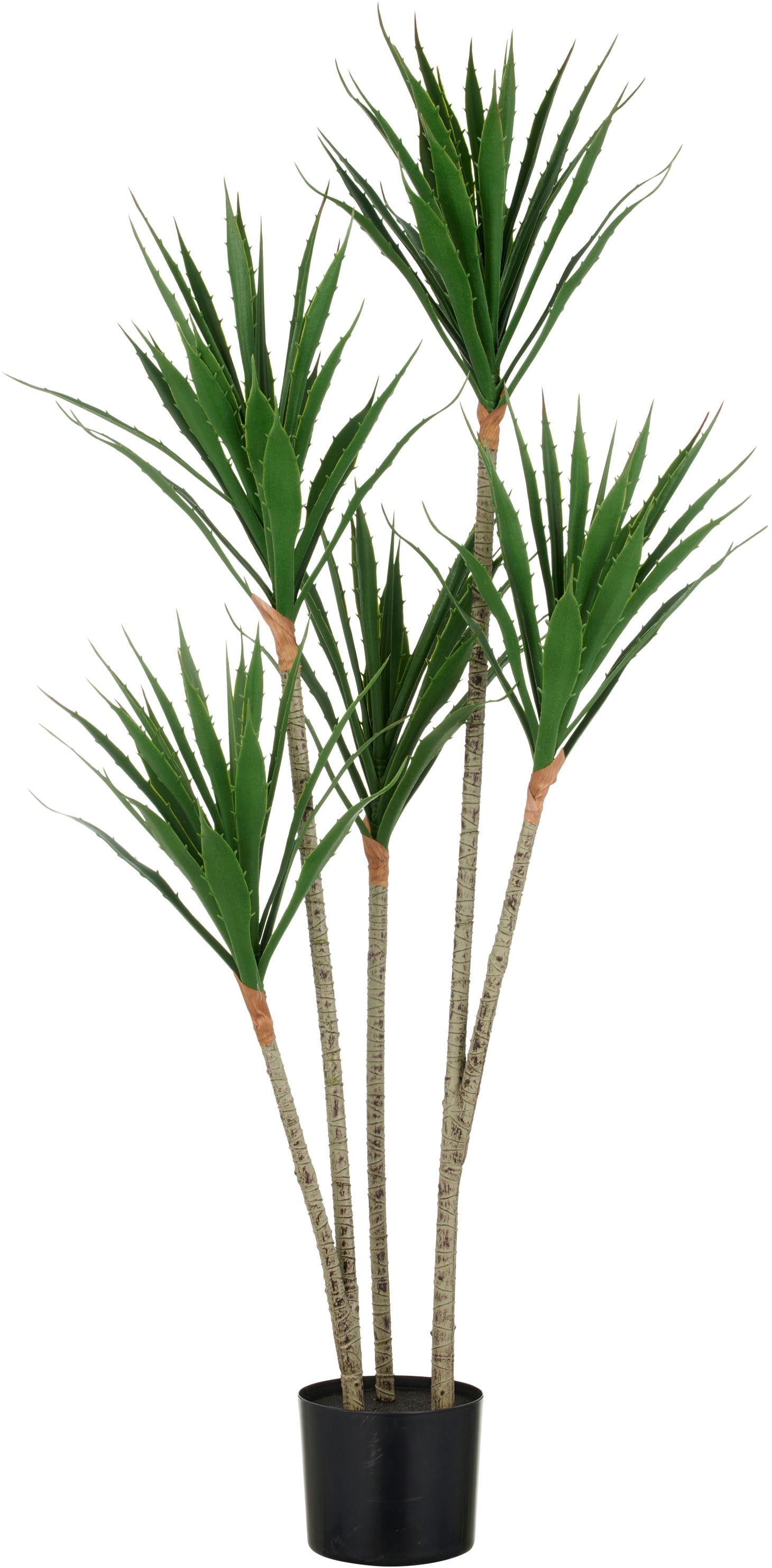 Creativ green Kunstpflanze "Agave", mit 5 Stämmen günstig online kaufen