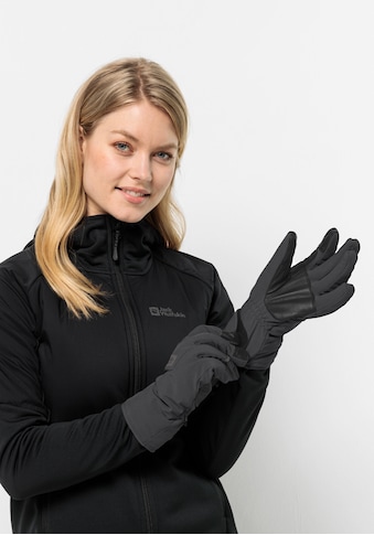 Skihandschuhe »ALPSPITZE MERINO GLOVE«