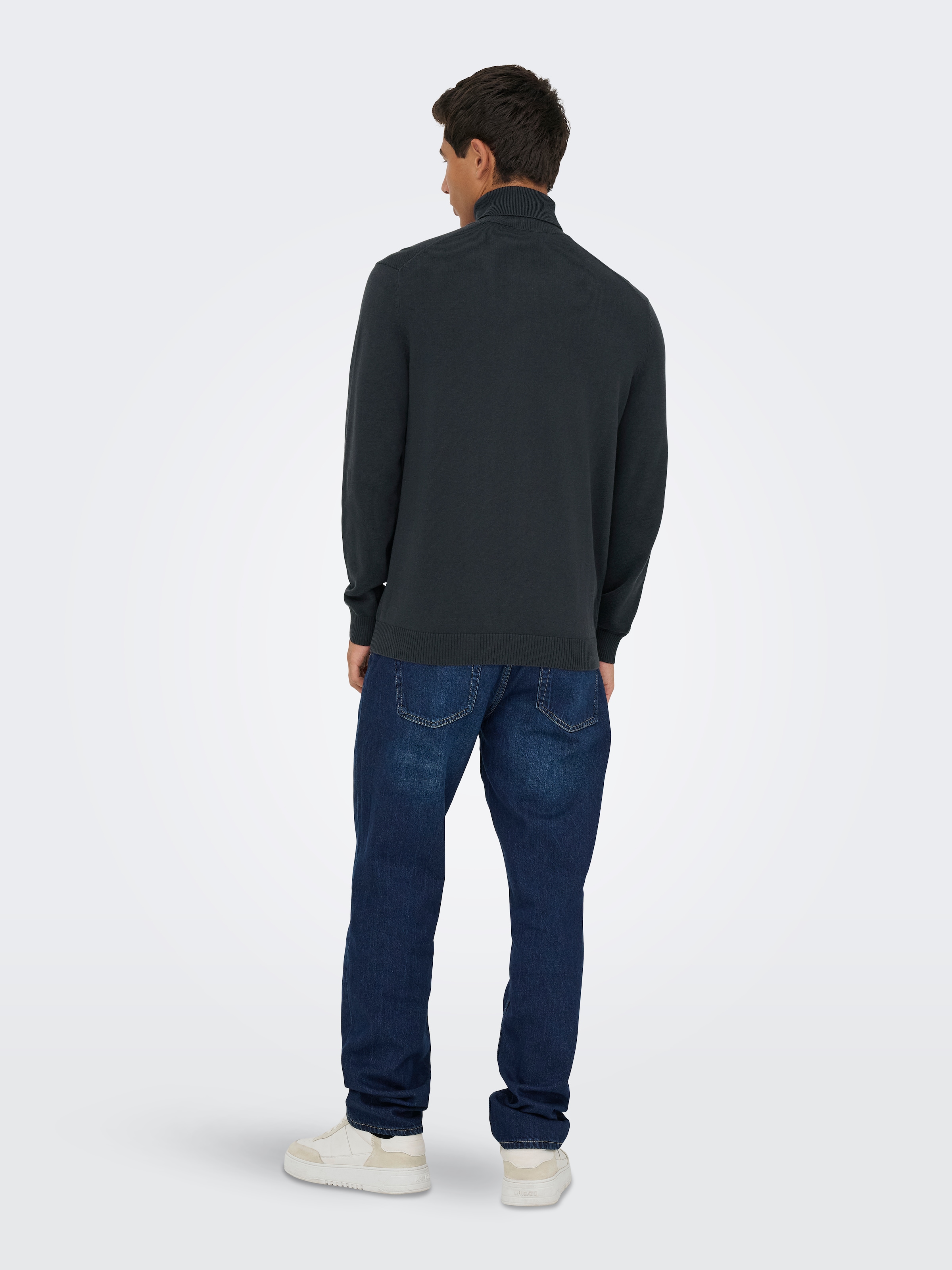 ONLY & SONS Rollkragenpullover »ONSHOLGER REG ROLL NECK KNIT - OTL«