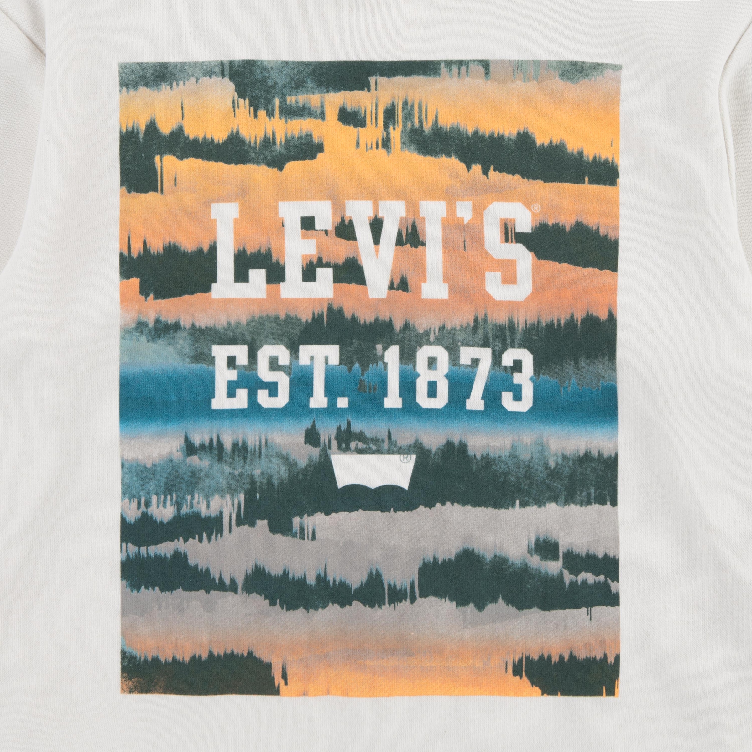 Levi's® Kids Hoodie, mit großem Frontprint, for BOYS
