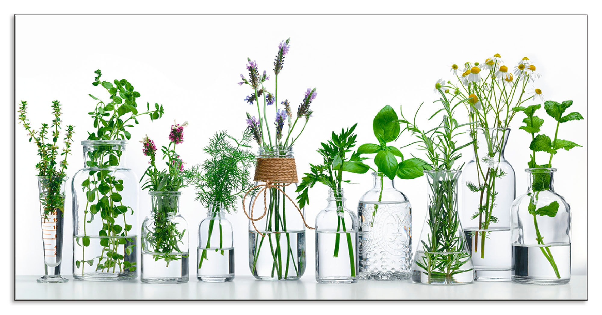 Artland Küchenrückwand "Öle mit Kräutern" Alu Spritzschutz mit Klebeband, e günstig online kaufen