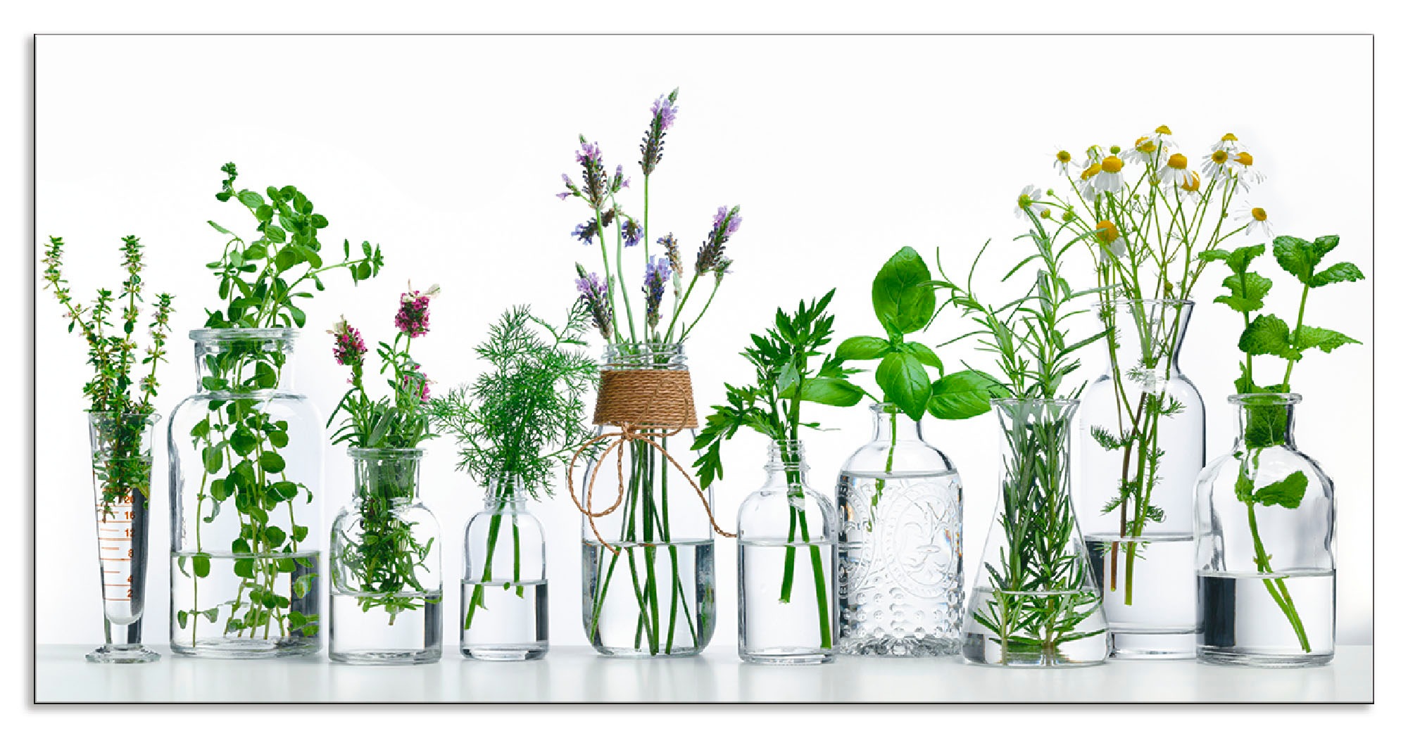 Artland "Öle mit Kräutern" Alu Spritzschutz mit Klebeband, einfache Montage