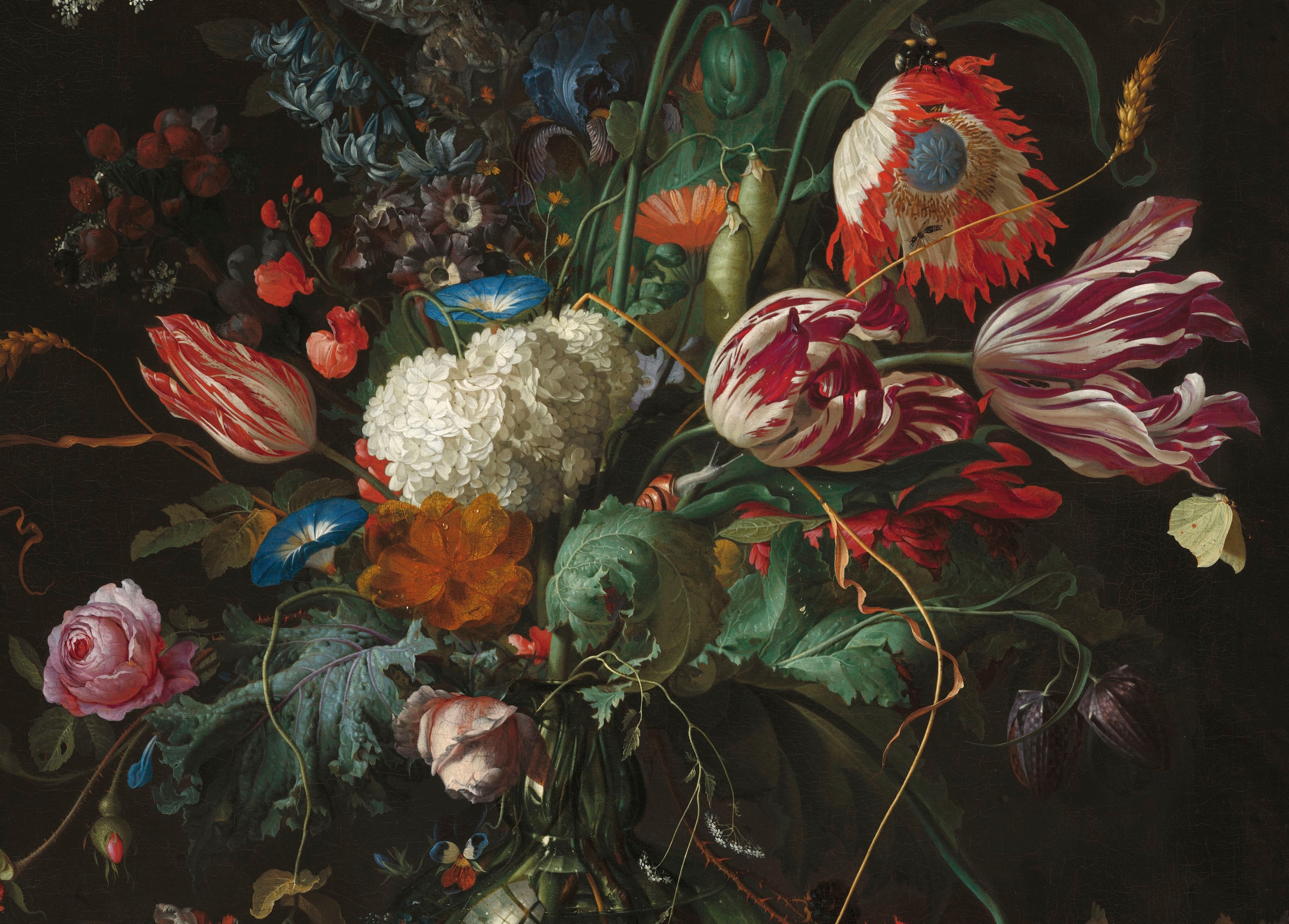 Black Friday Davidsz »Vase Ausschnitt, for the of Flowers, Heem«, Blumen | Leinwandbild de Jan home Art BAUR