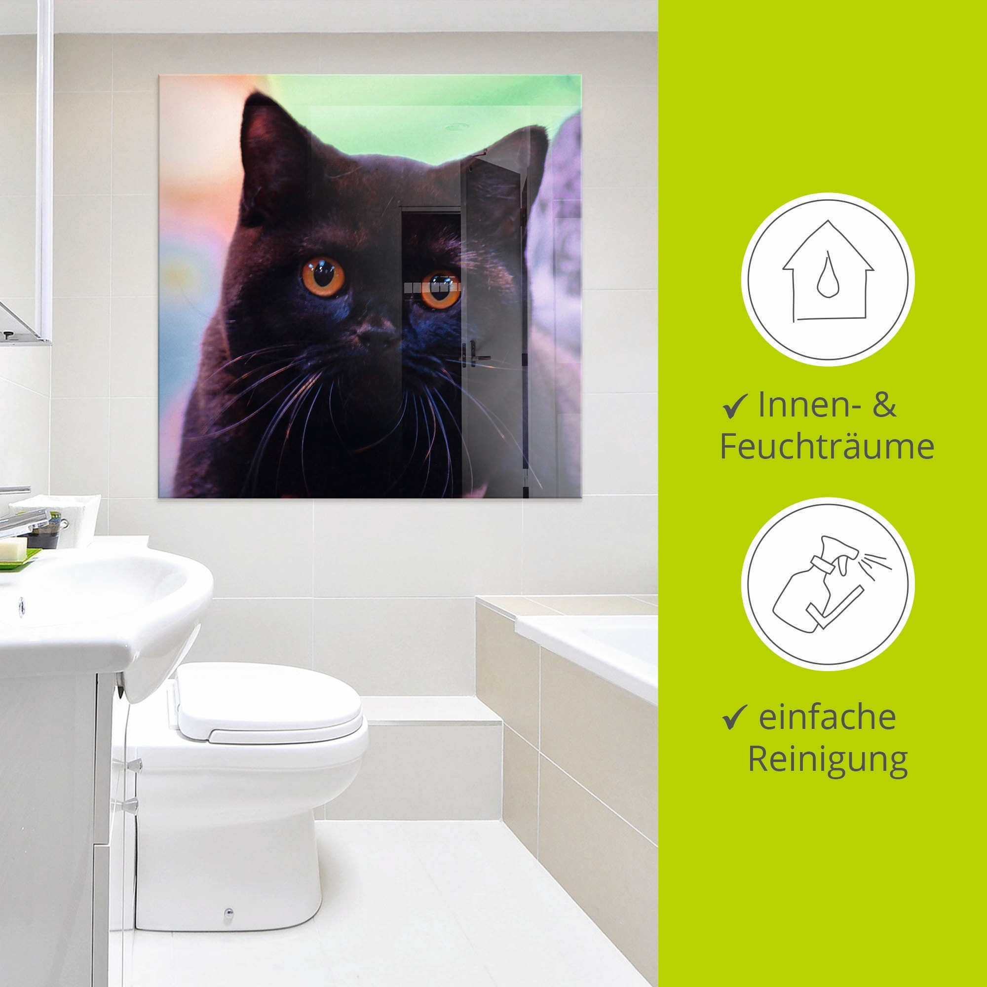 Artland Glasbild »Schwarze Britisch Kurzhaarkatze«, Haustiere, (1 St.), in verschiedenen Größen