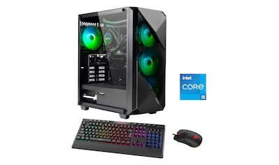 Gaming-PC »Striker 6918«