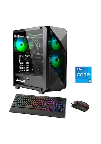 Gaming-PC »Striker 6918«