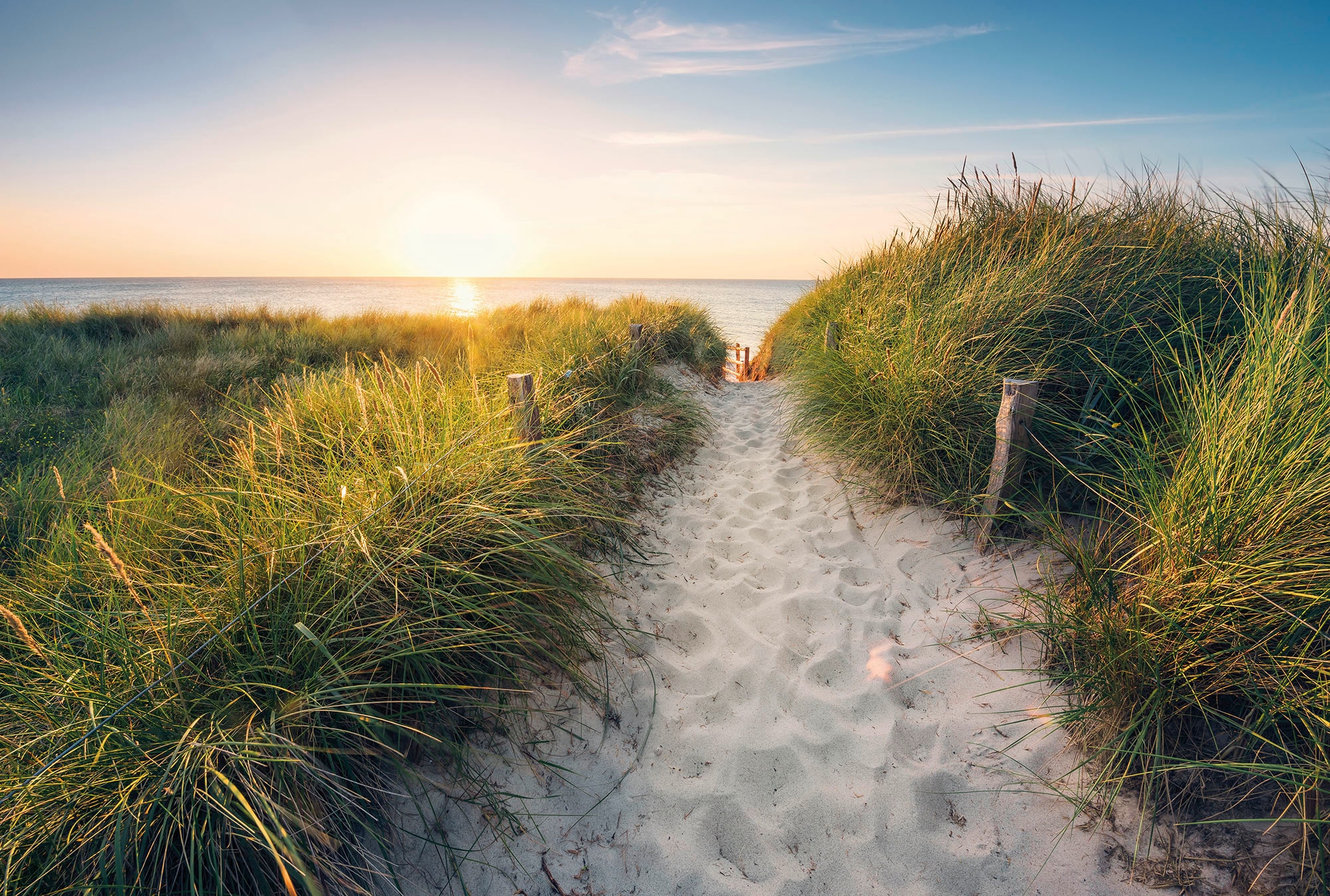 Komar Fototapete "Fototapete", bedruckt, Vlies Fototapete - Way to the Beach - Größe 368 x 248 cm