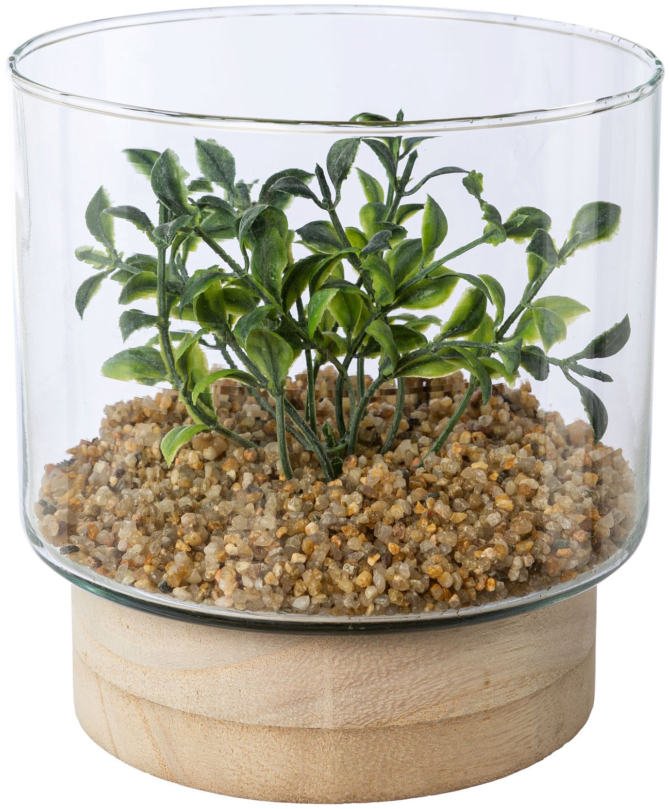 Creativ green Kunstpflanze "Sukkulenten im Glasgefäß" günstig online kaufen