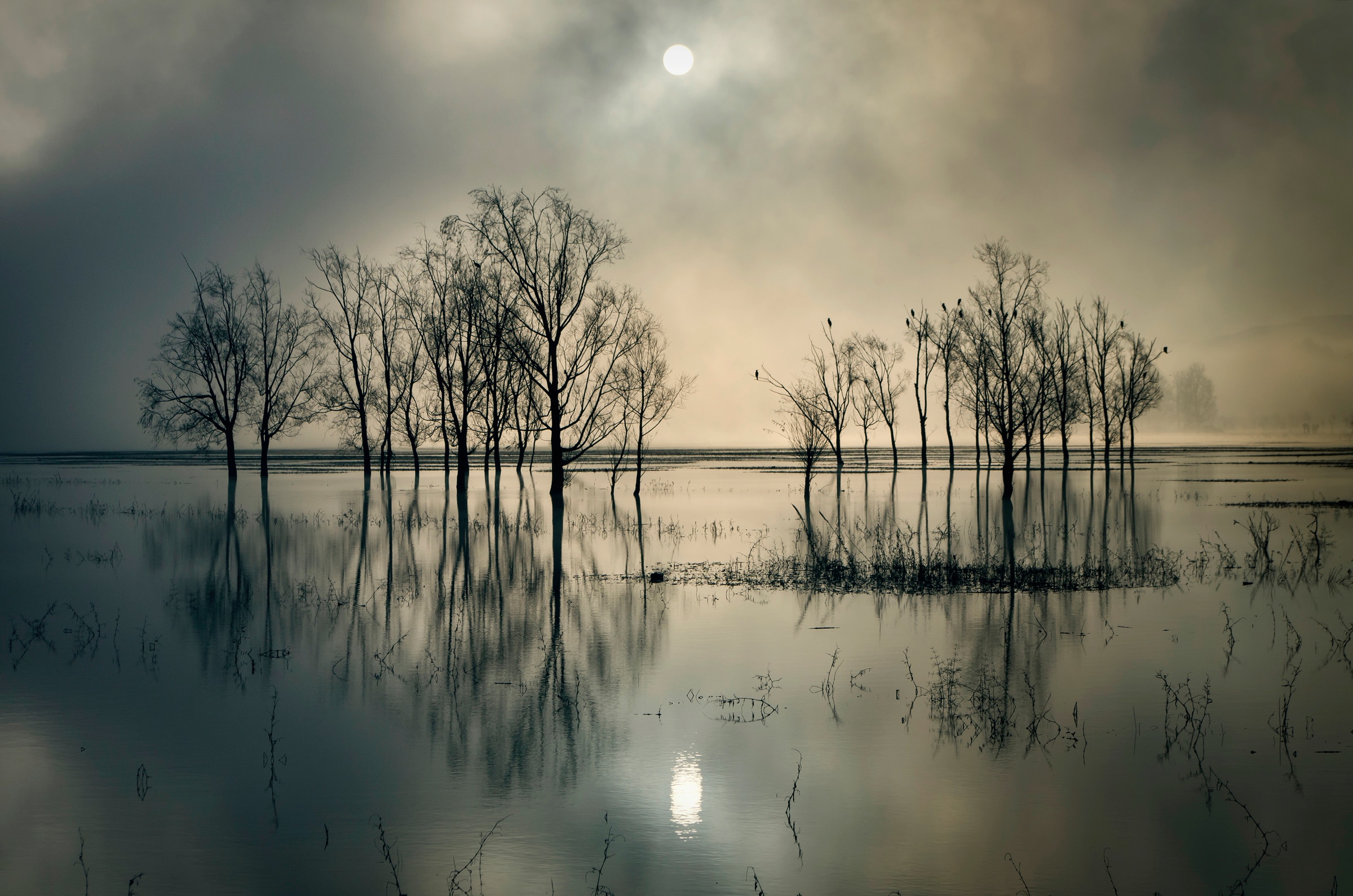 Papermoon Fototapete "Photo-Art JOANNE FLJ, SEESTSSEE"