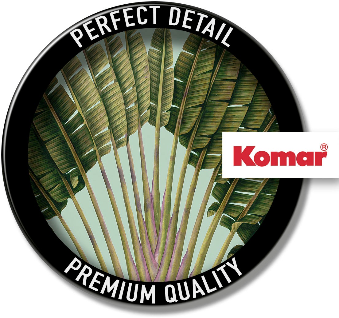 Thumbnail - Komar Bild "Botanical Garden Pinnate Palm" Natur 1 Stk. tlg. Wandbild zur Dekoration - ohne Rahmen