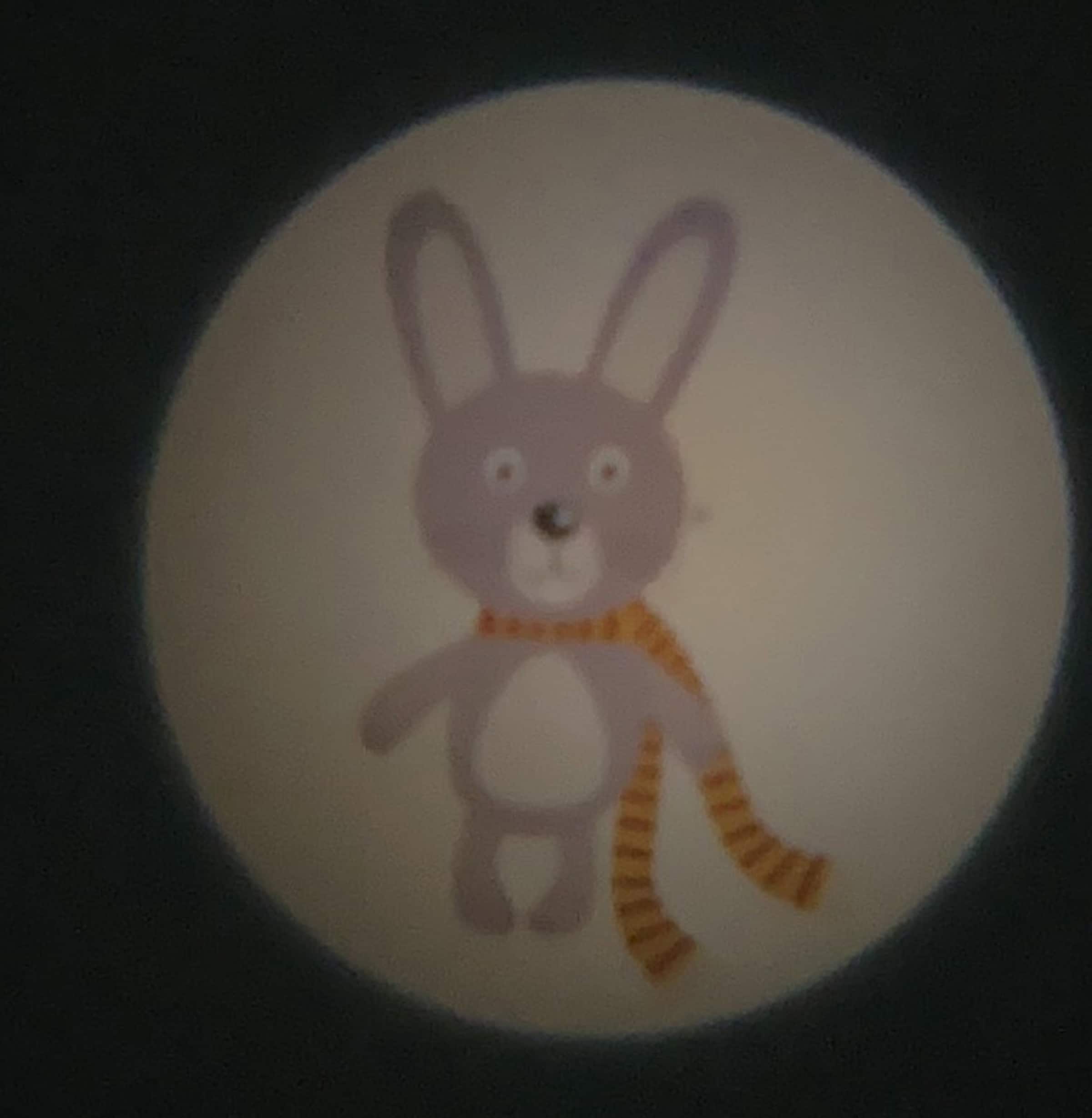 niermann LED Nachtlicht »Waldtiere«, 1 flammig-flammig, Set Waldtiere 2 (1 x Stecker-Nachtlicht, 1 x Taschenprojektor)