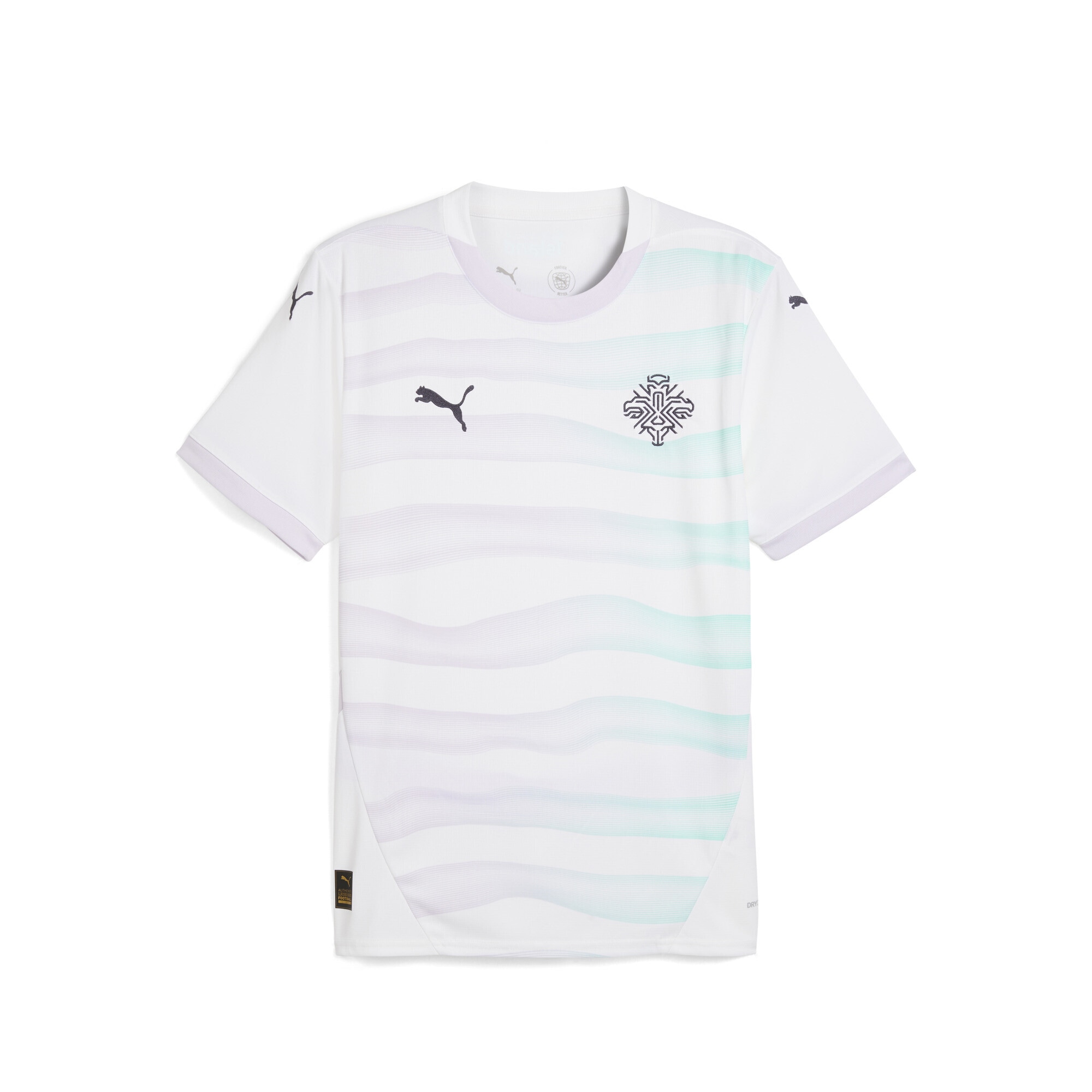 PUMA Trainingsshirt "Island Team 2025 Auswärtstrikot Herren" günstig online kaufen