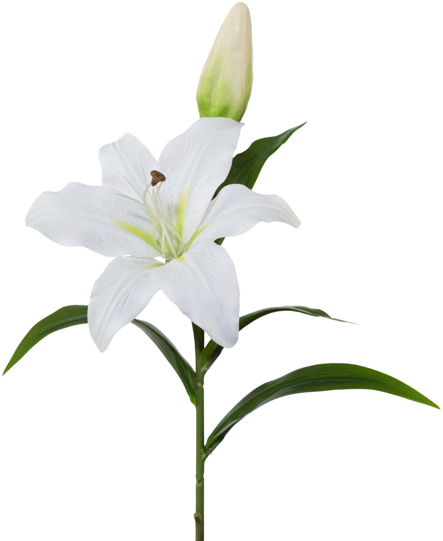 Kunstblume, Creativ green, Höhe 50 cm, günstig online kaufen