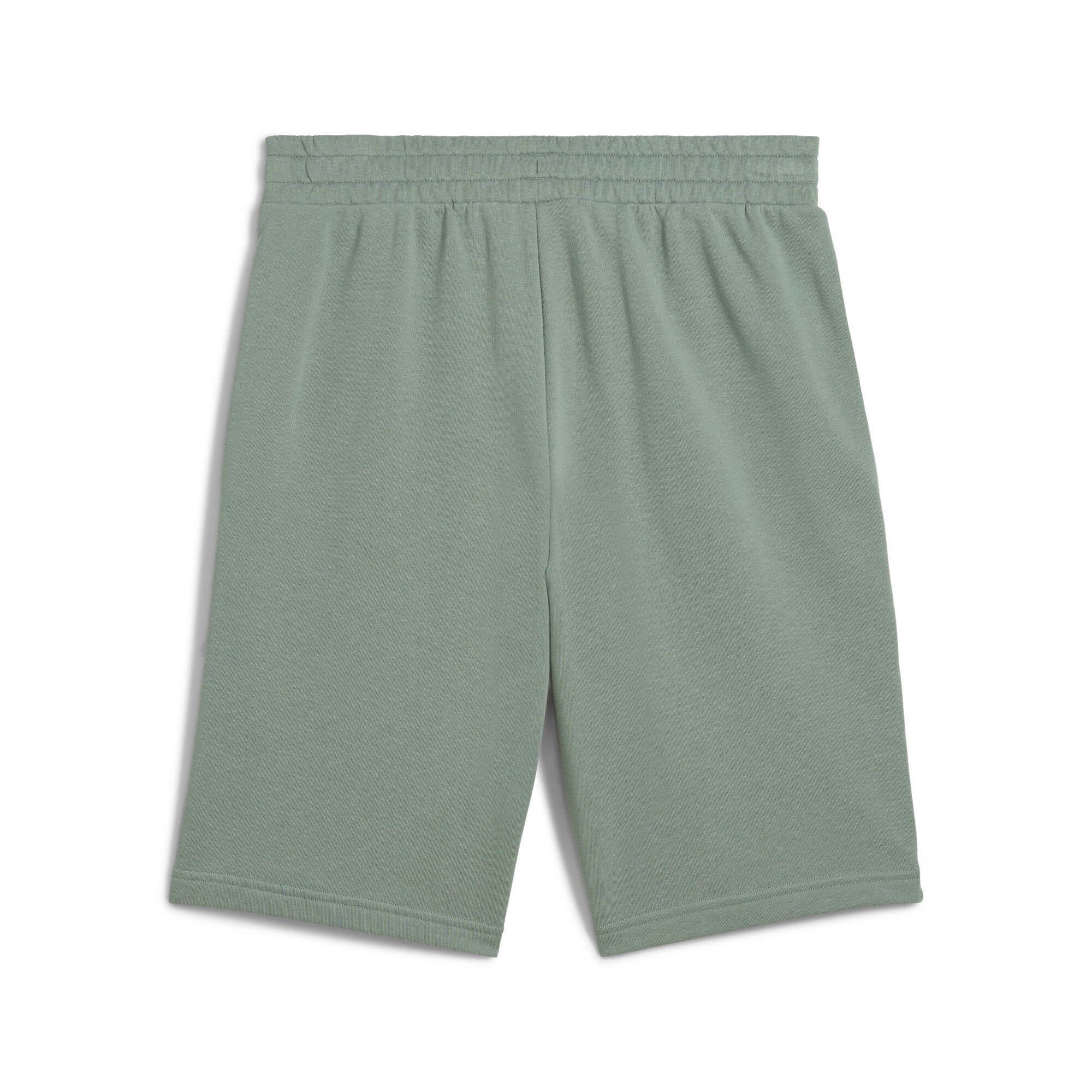 PUMA Trainingsshorts "ESS 2 COLOR NO. 1 LOGO SHORTS 10" TR" günstig online kaufen