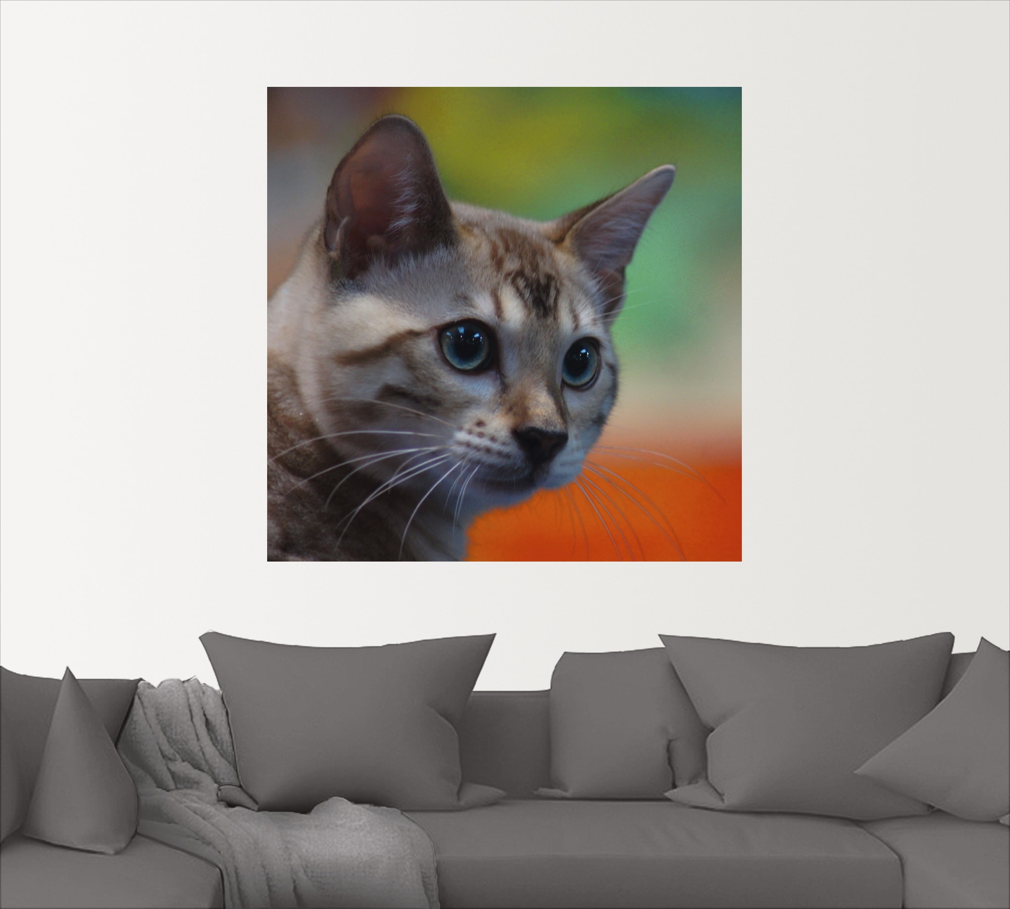 Artland Wandbild »Weiße Bengalkatze«, Haustiere, (1 St.), als Alubild, Leinwandbild, Wandaufkleber oder Poster in versch. Größen