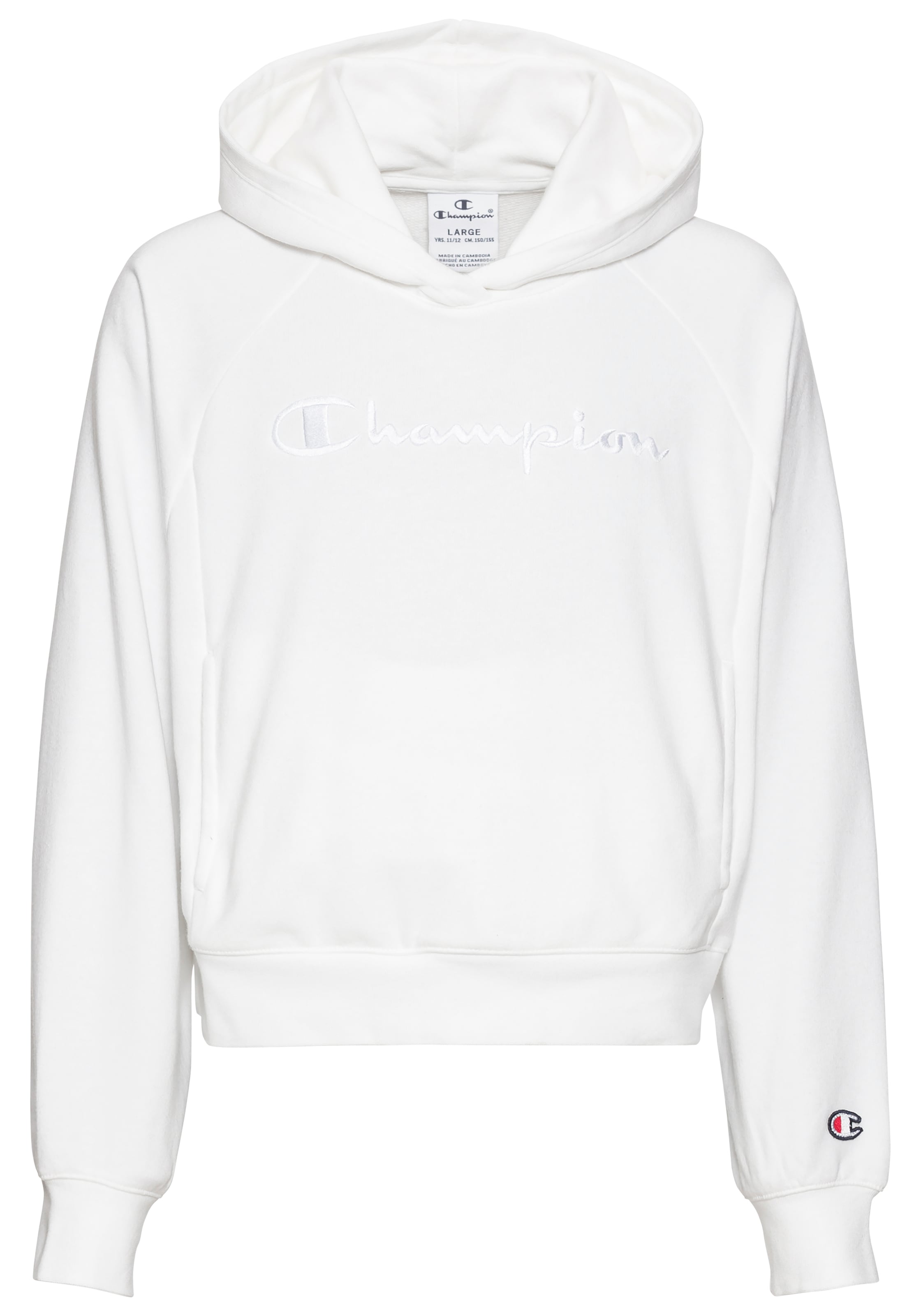 Kapuzensweatshirt »Icons Hooded Sweatshirt«