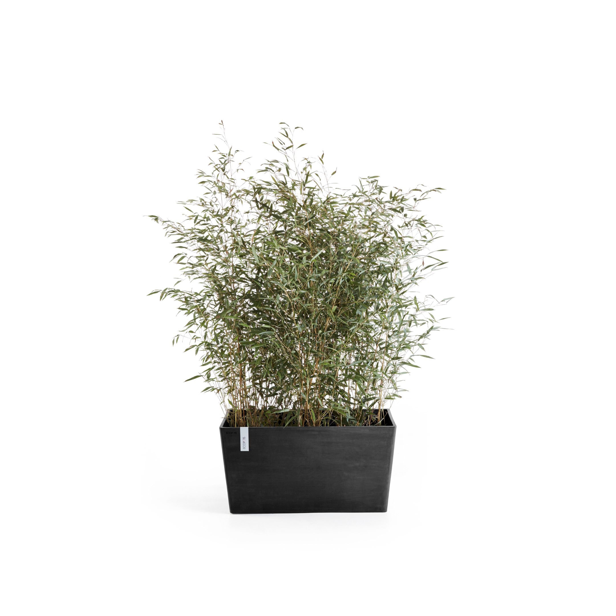 ECOPOTS Blumentopf »Paris«, BxTxH: 99x46x50 cm