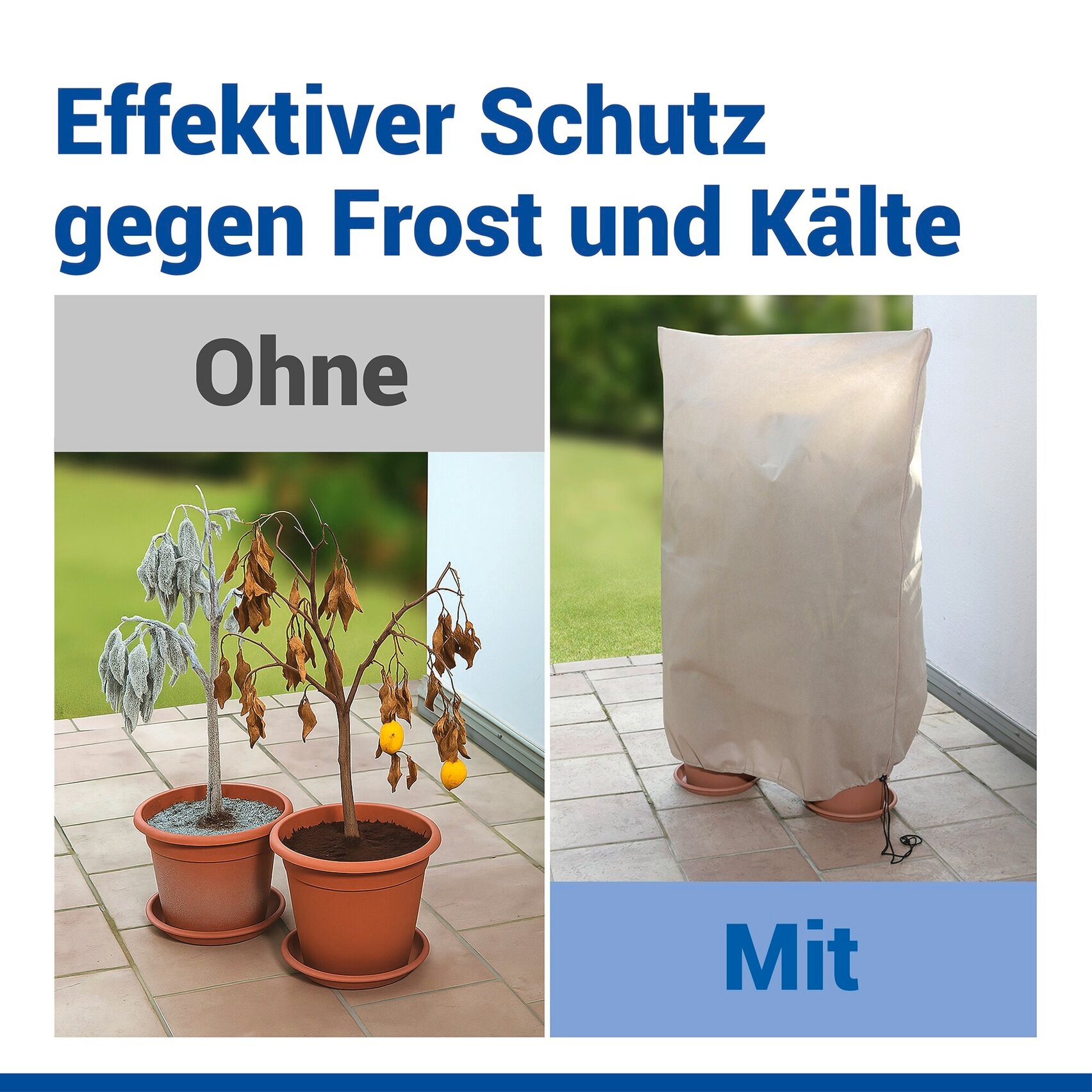 Maximex Winterschutzhaube »Pflanzenschutz-Vlies, 100x120 cm« reißfestes Vlies, mit Reißverschluss und Zugband, BxH: 100x120 cm