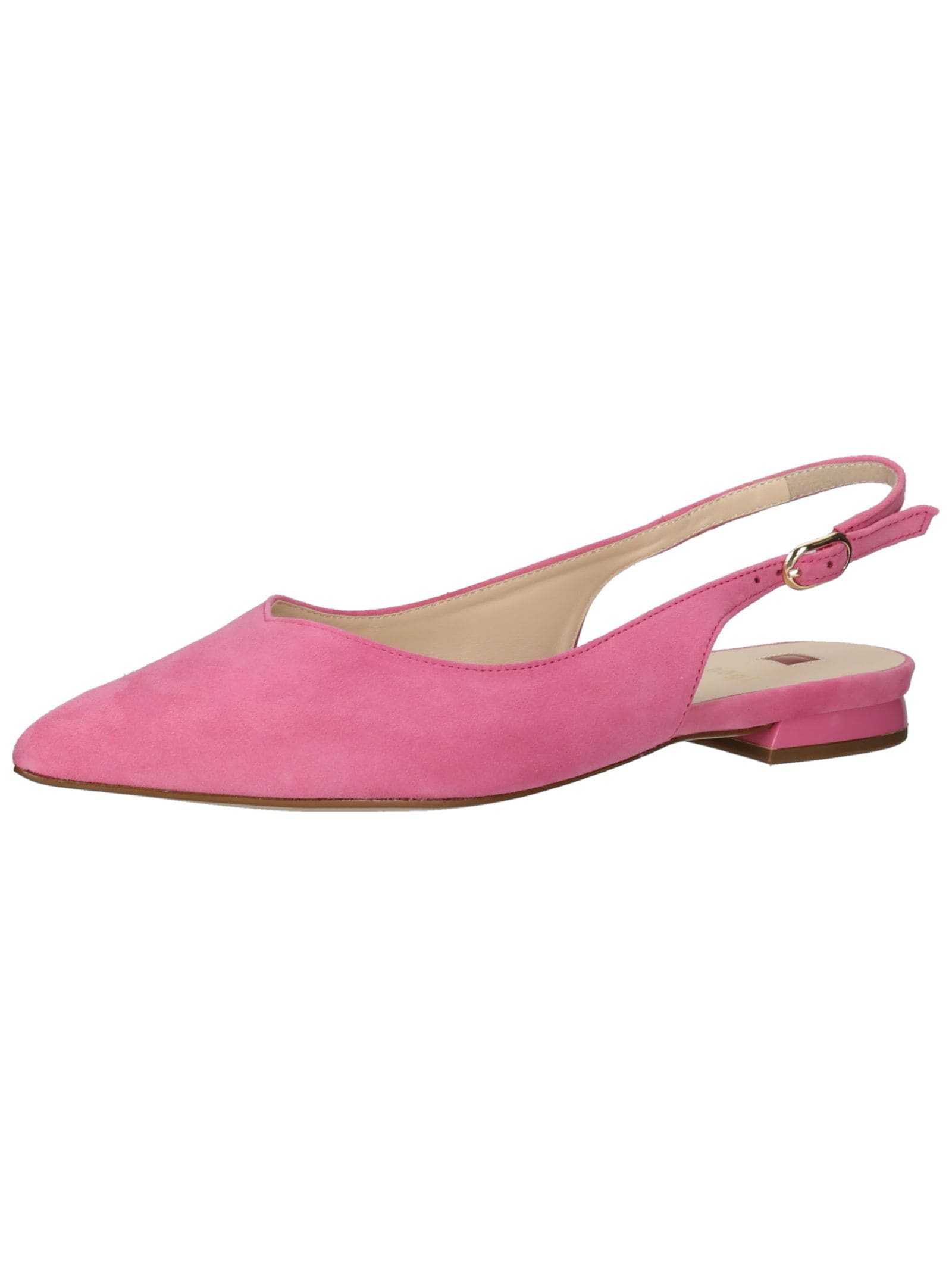 Högl Ballerina "Högl Ballerinas Veloursleder" günstig online kaufen