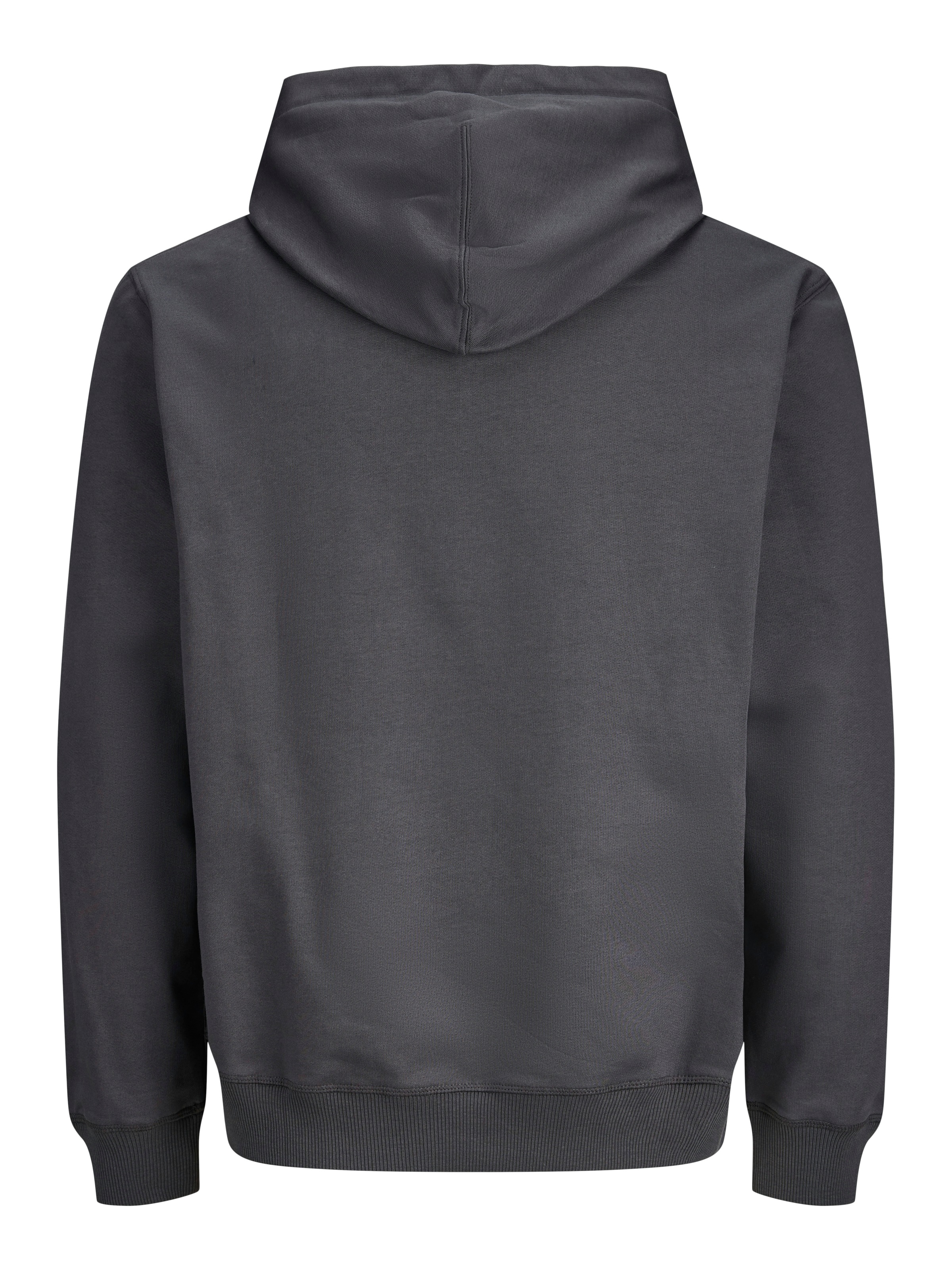 Jack & Jones Kapuzensweatshirt »JORNORREBRO EMB SWEAT HOOD NOOS«