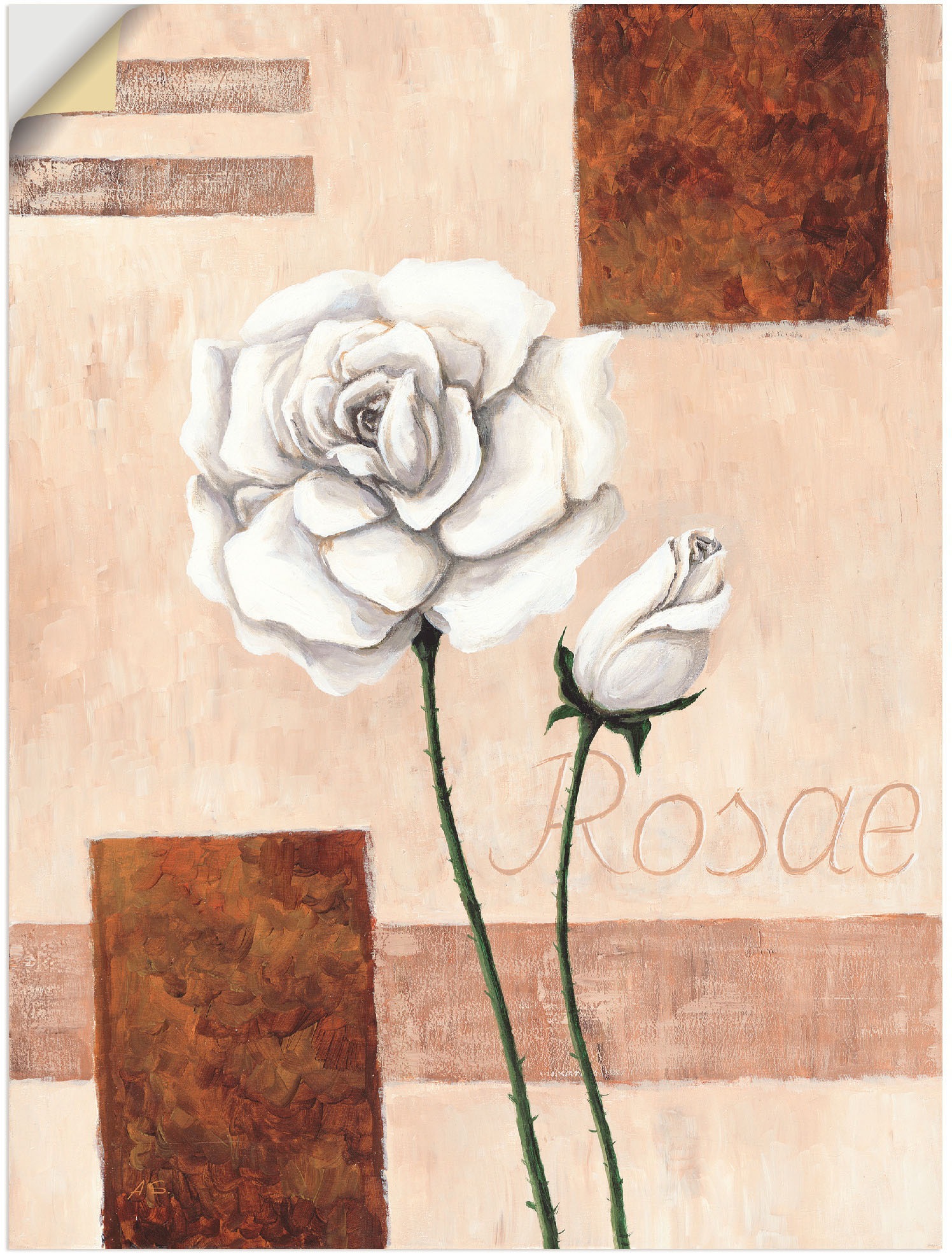 Black Friday St.), oder Wandaufkleber - Leinwandbild, BAUR Alubild, Größen Poster Blumenbilder, in »Rosae als Wandbild versch. Rosen«, Artland (1 