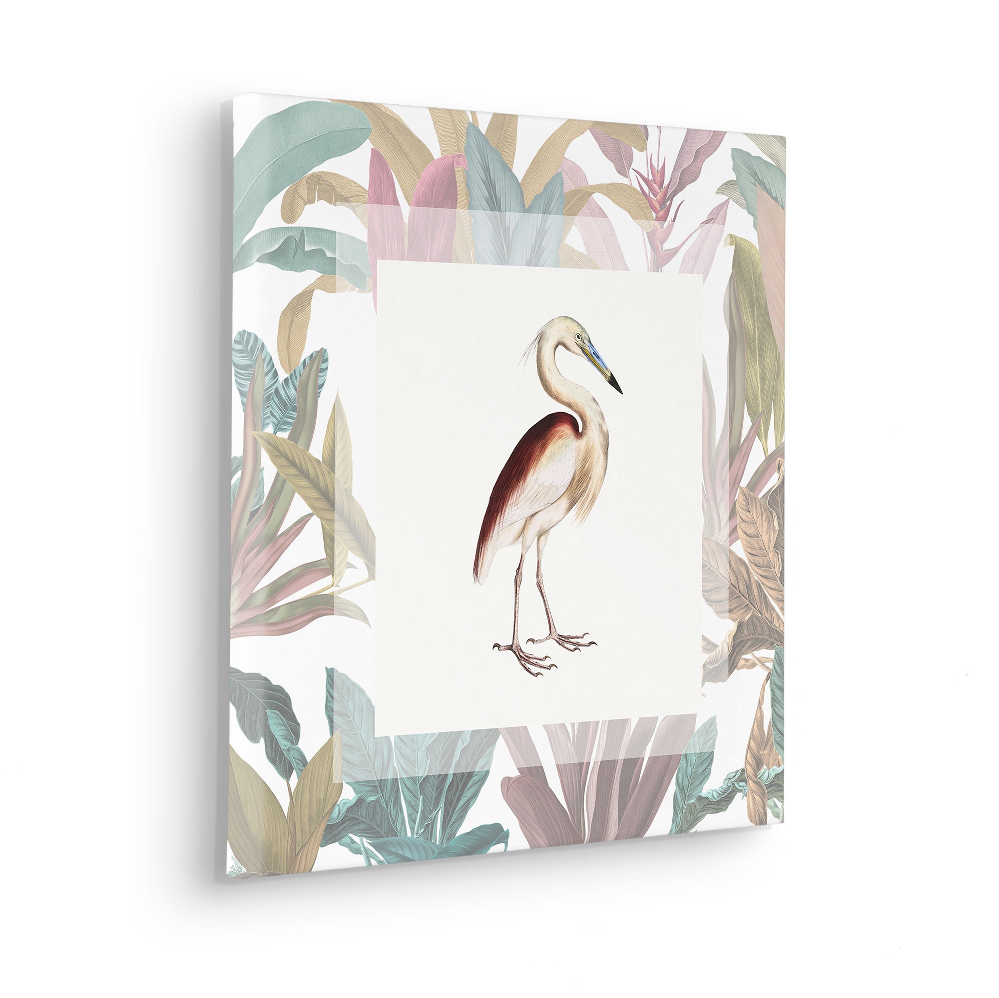 Komar Leinwandbild "Uncommon Bird - Größe 40 x 40 cm" Natur 1 Stk. tlg. Kei günstig online kaufen