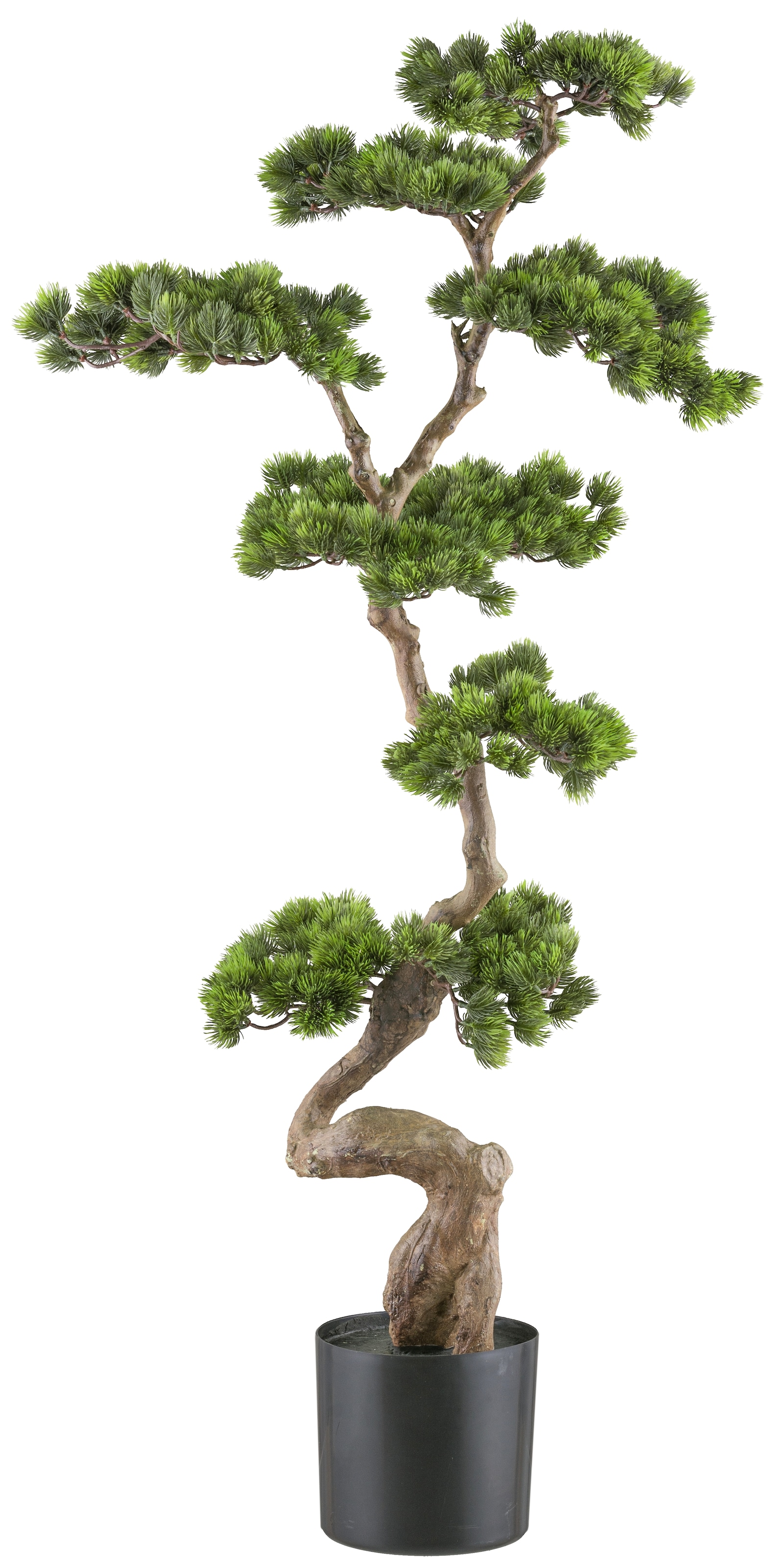 Creativ green Kunstbonsai "Bonsai Kiefer", mit elegantem Stamm günstig online kaufen