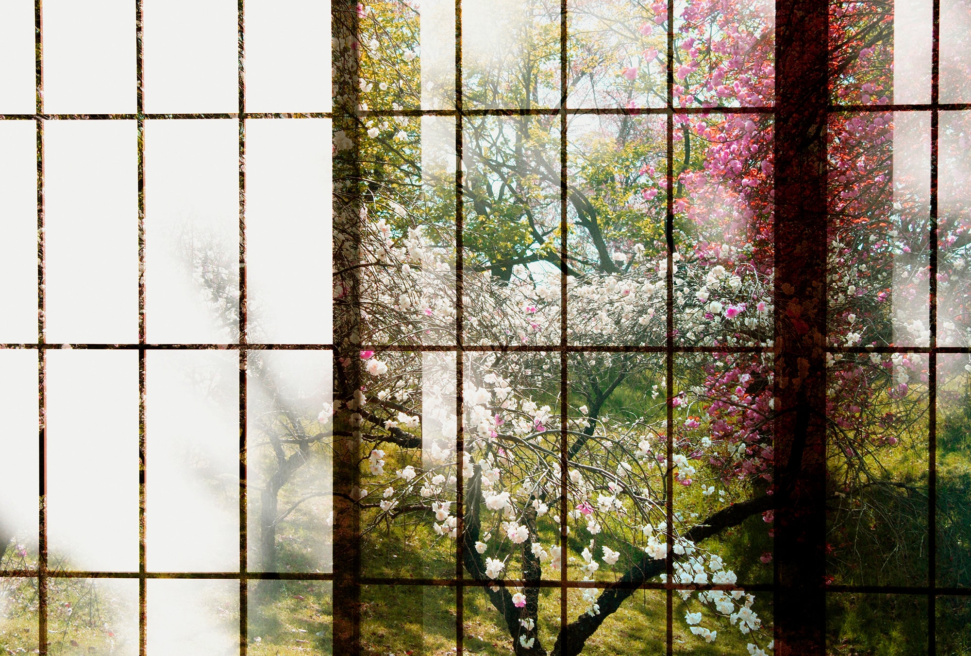 living walls Fototapete "Walls by Patel Orchard 1" glatt Vlies, Wand, Schräge