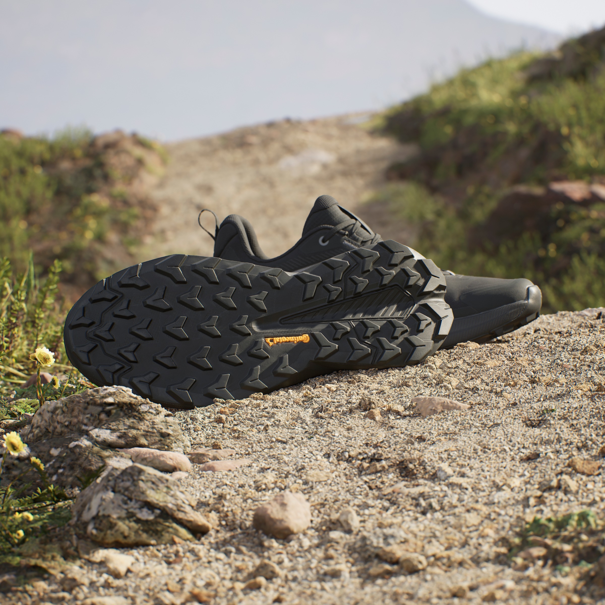 adidas TERREX Wanderschuh »TRAILMAKER 2«