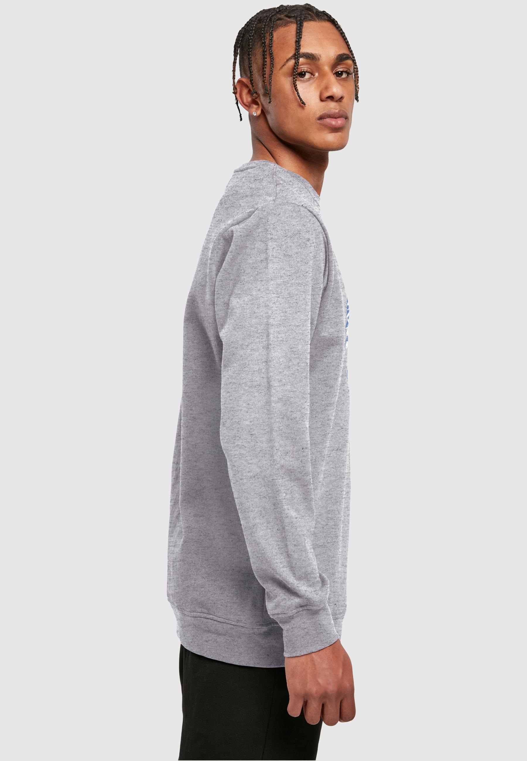 ABSOLUTE CULT Rundhalspullover »ABSOLUTE CULT Herren Frozen - Anna Sven And Olaf Crewneck«, (1 tlg.)